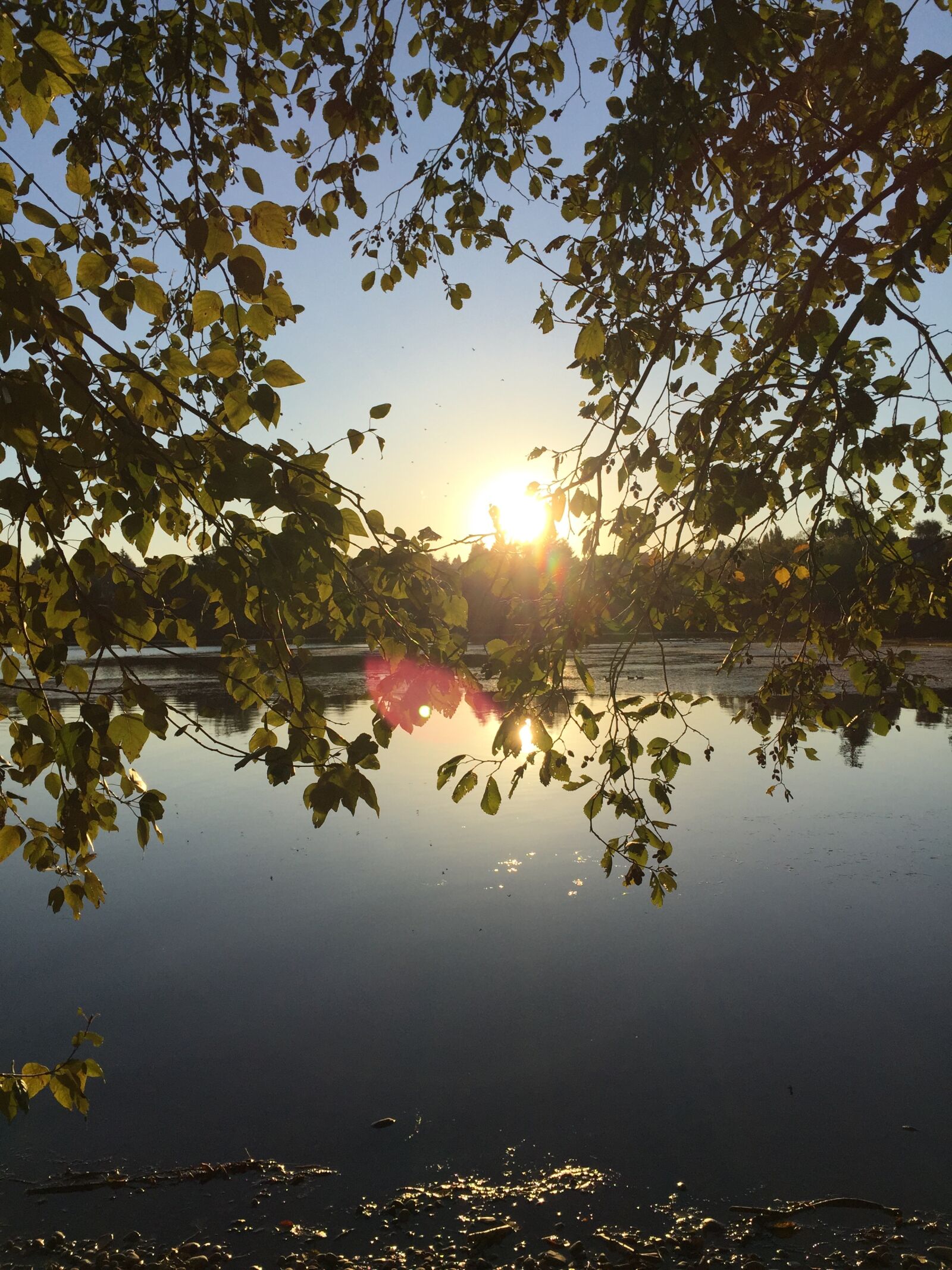 Apple iPhone 6 sample photo. Lake, serene, water photography