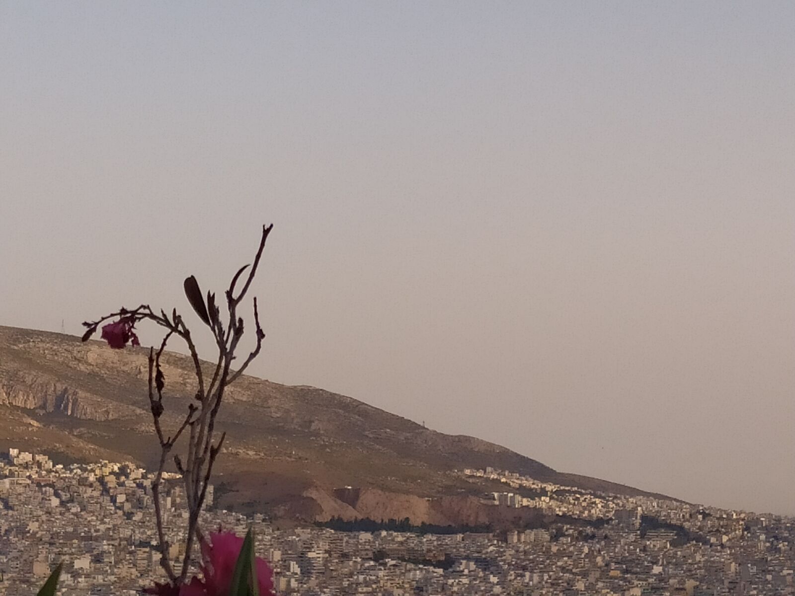 Xiaomi Redmi Note 8 sample photo. Horizon, nature, athens photography