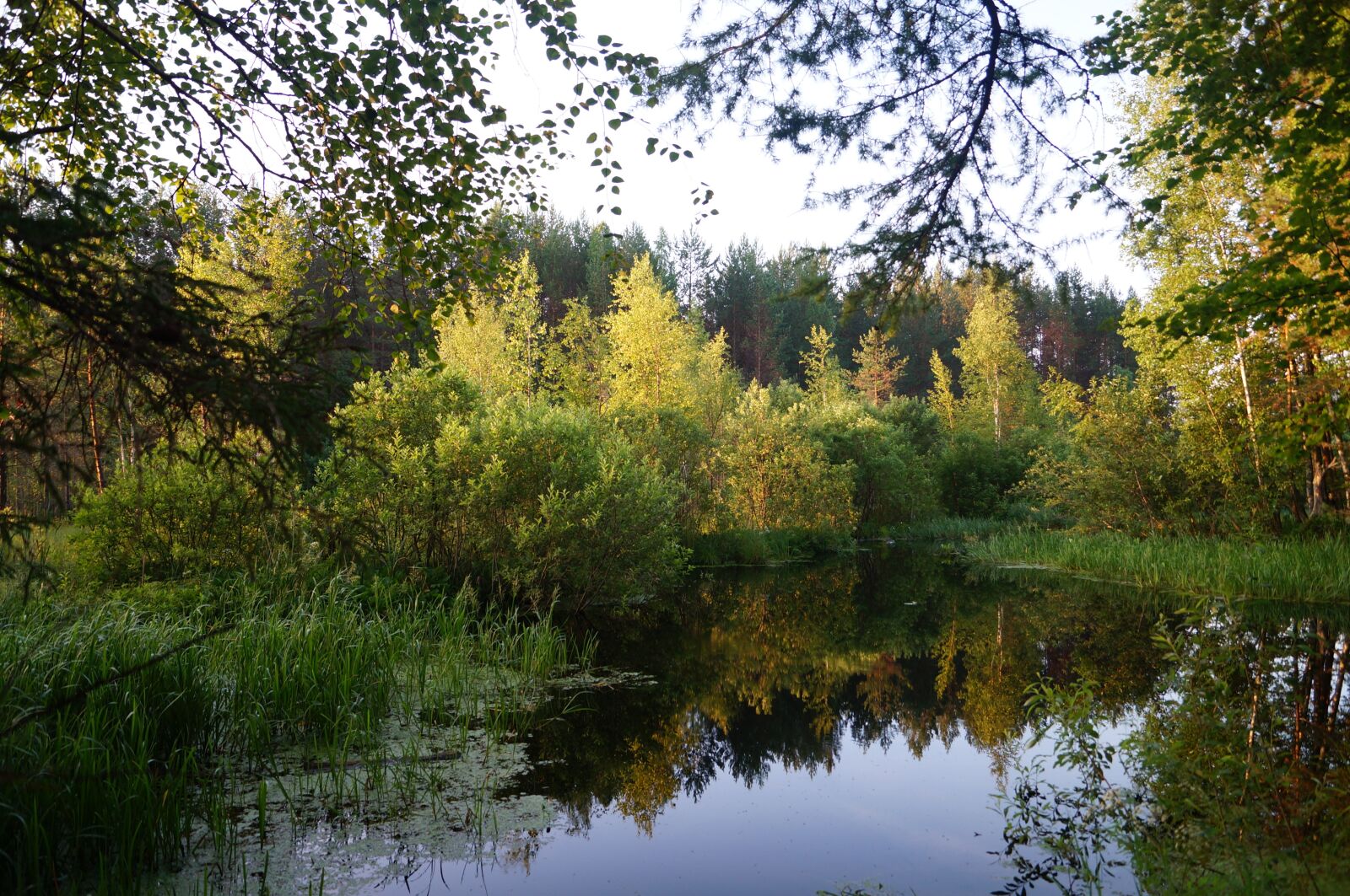 Sony SLT-A57 sample photo. Morning, dawn, silence photography
