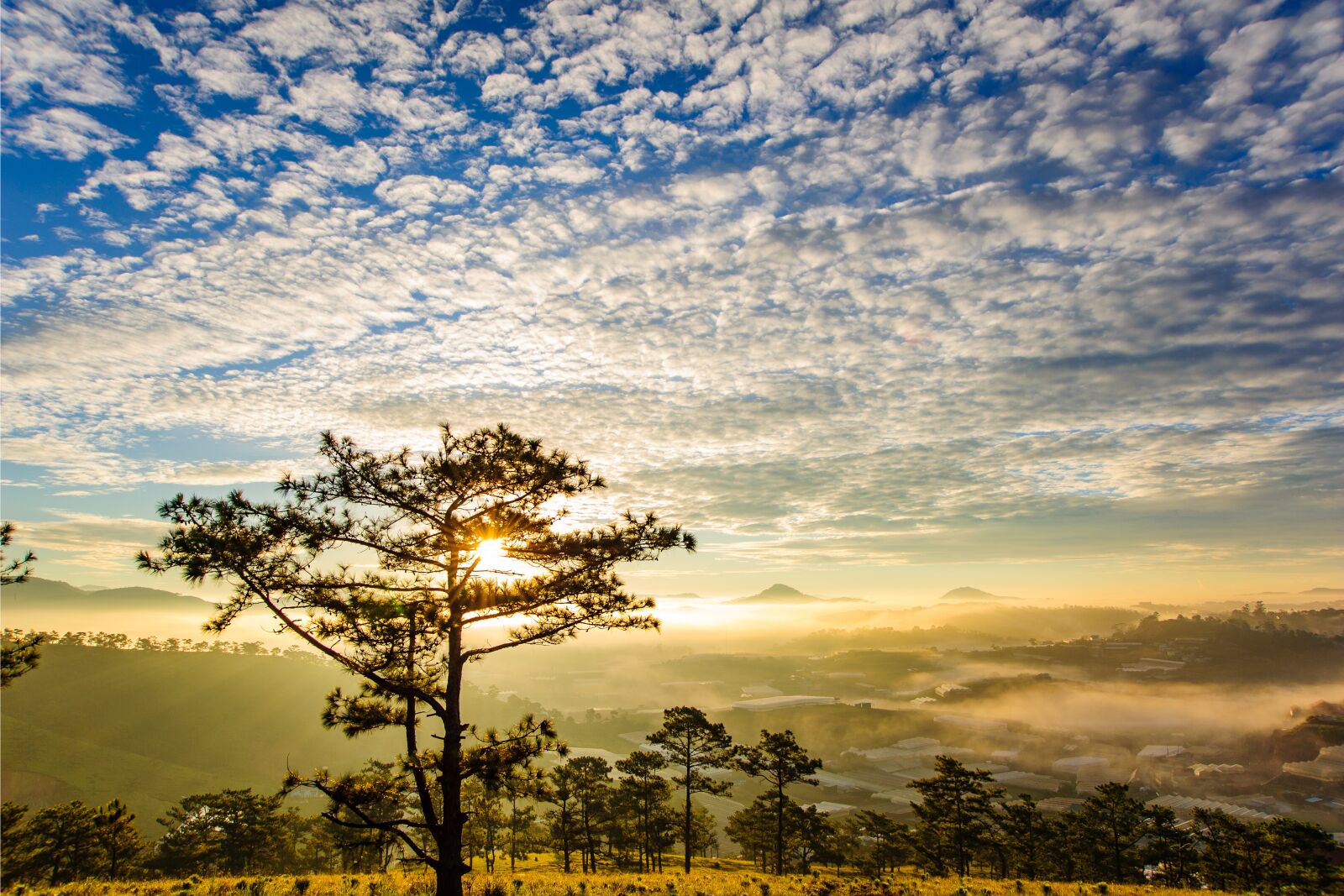Nikon D700 sample photo. The sun, dew early photography