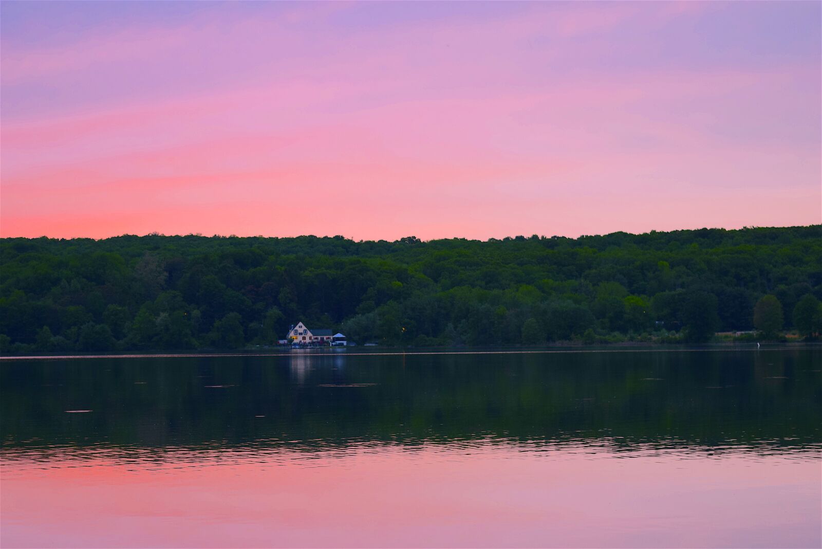 Nikon D3300 sample photo. Lake, sunset, pink sky photography