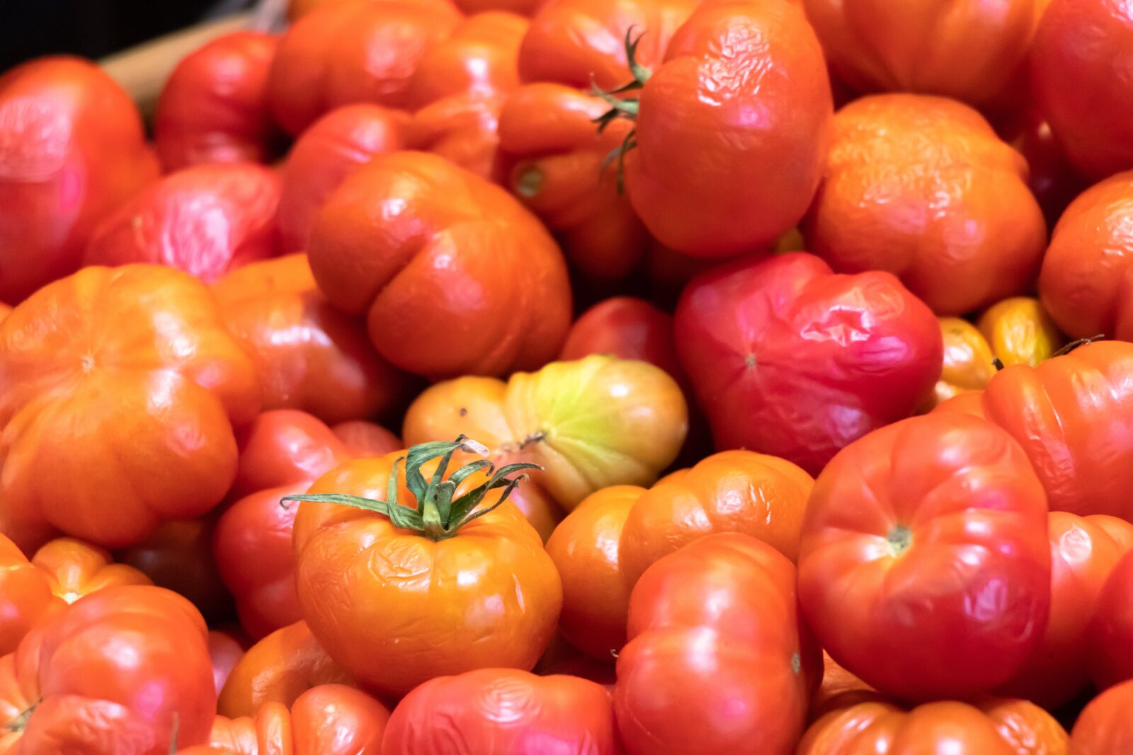Canon EF-S 18-135mm F3.5-5.6 IS USM sample photo. Tomatoes, red, food photography