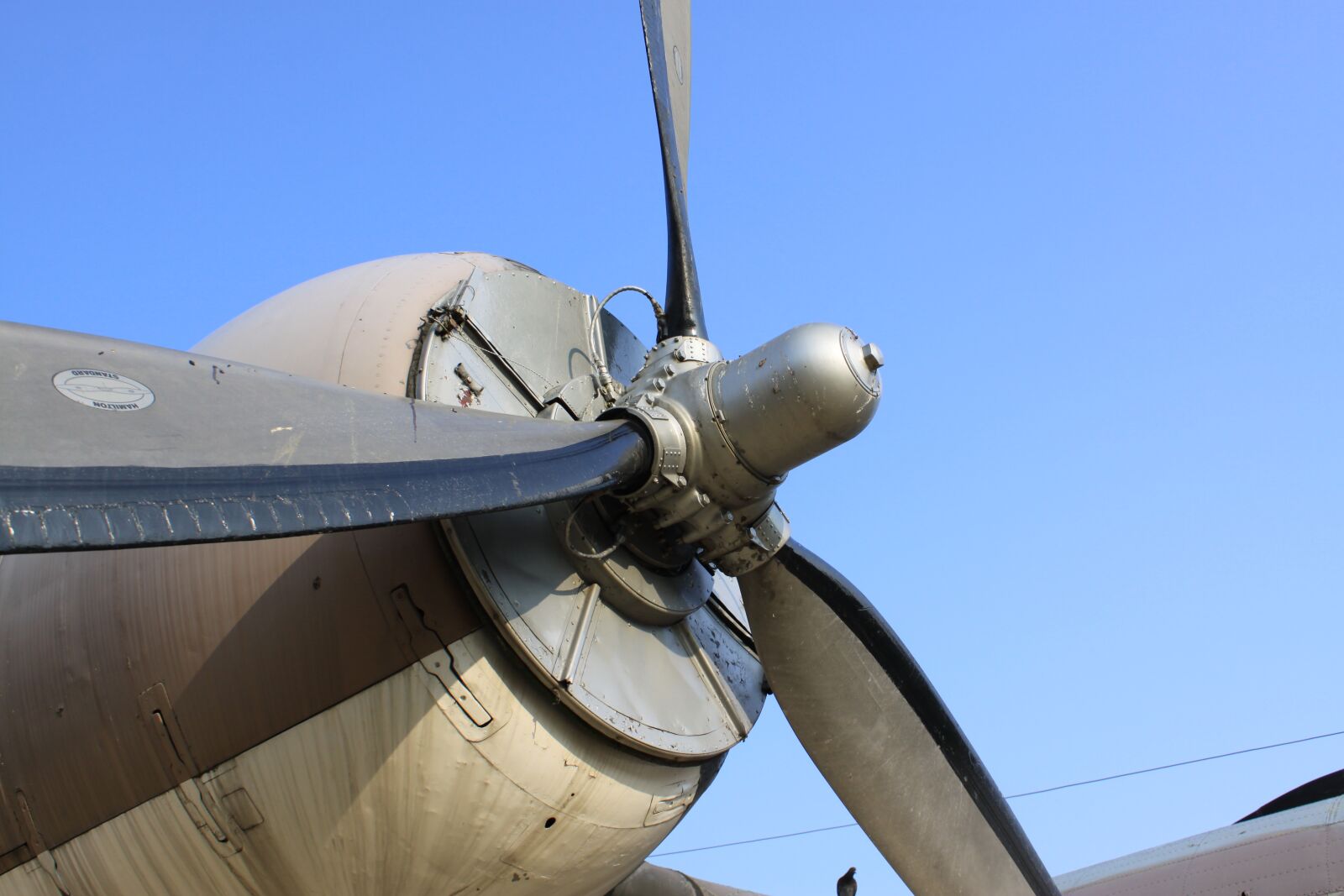 Canon EOS 50D sample photo. Propeller, plane, flight photography