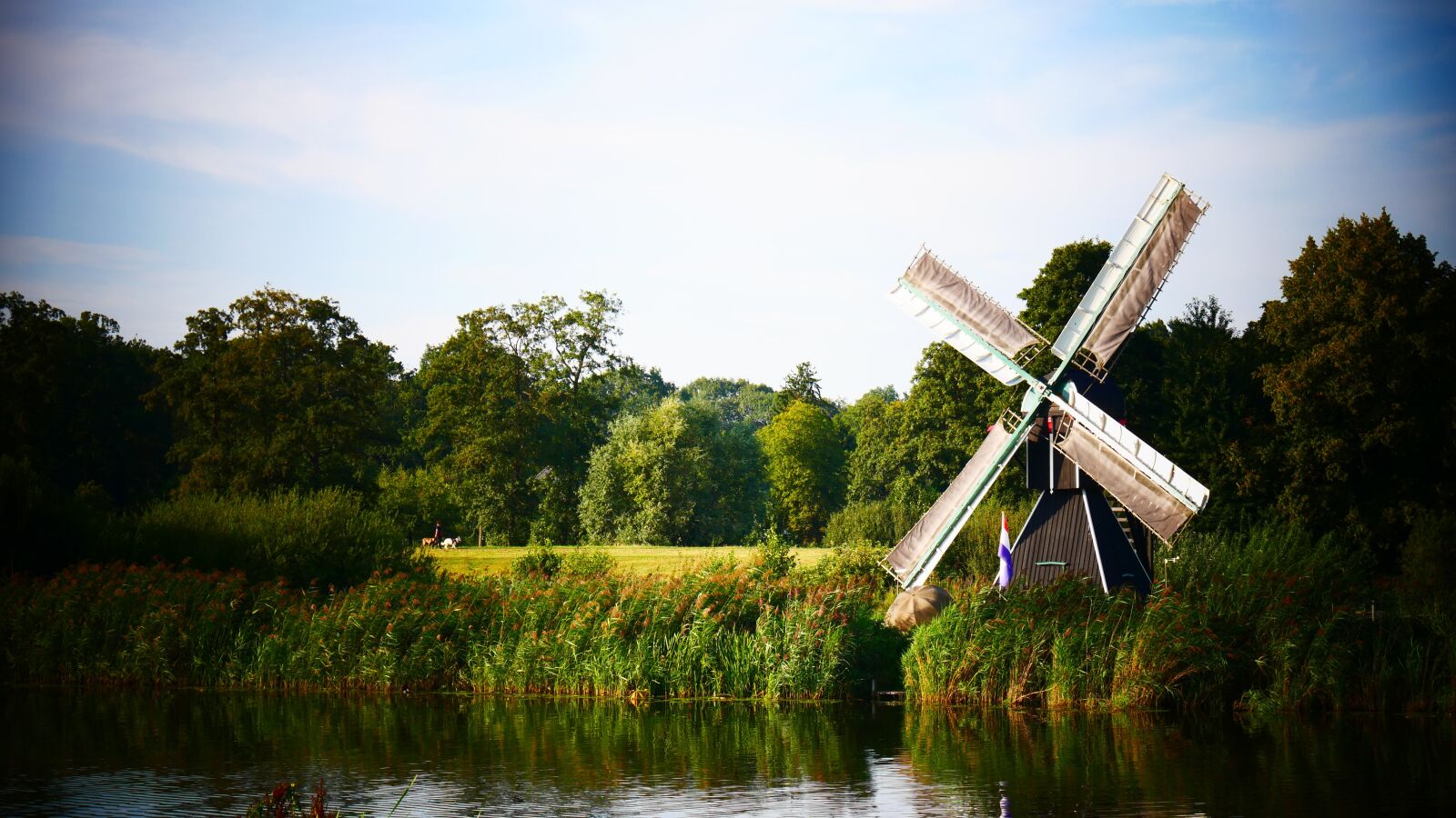 Panasonic Lumix DMC-G85 (Lumix DMC-G80) sample photo. Mill, netherlands, holland photography