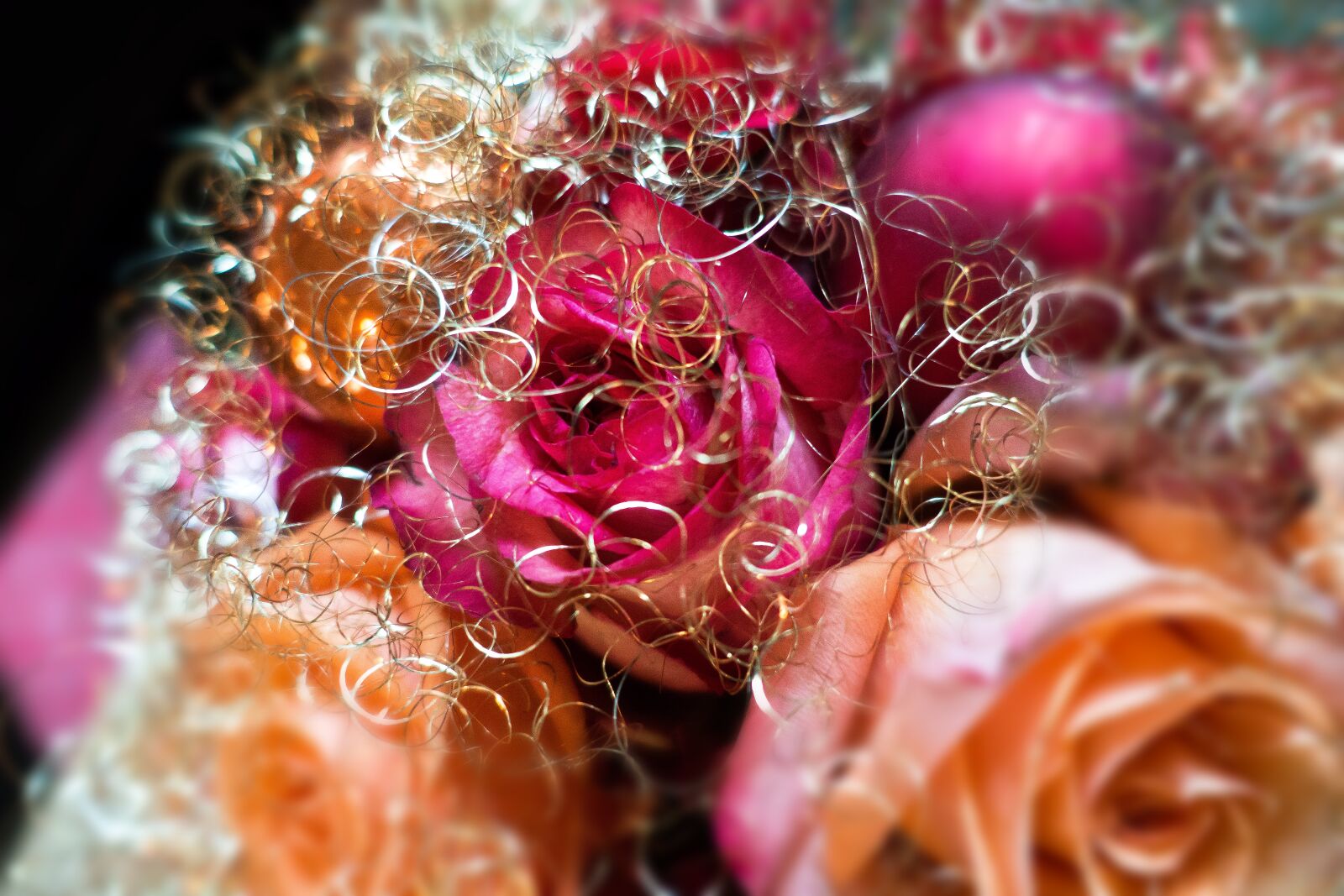 Sony Cyber-shot DSC-RX100 III sample photo. Rose, christmas, arrangement photography
