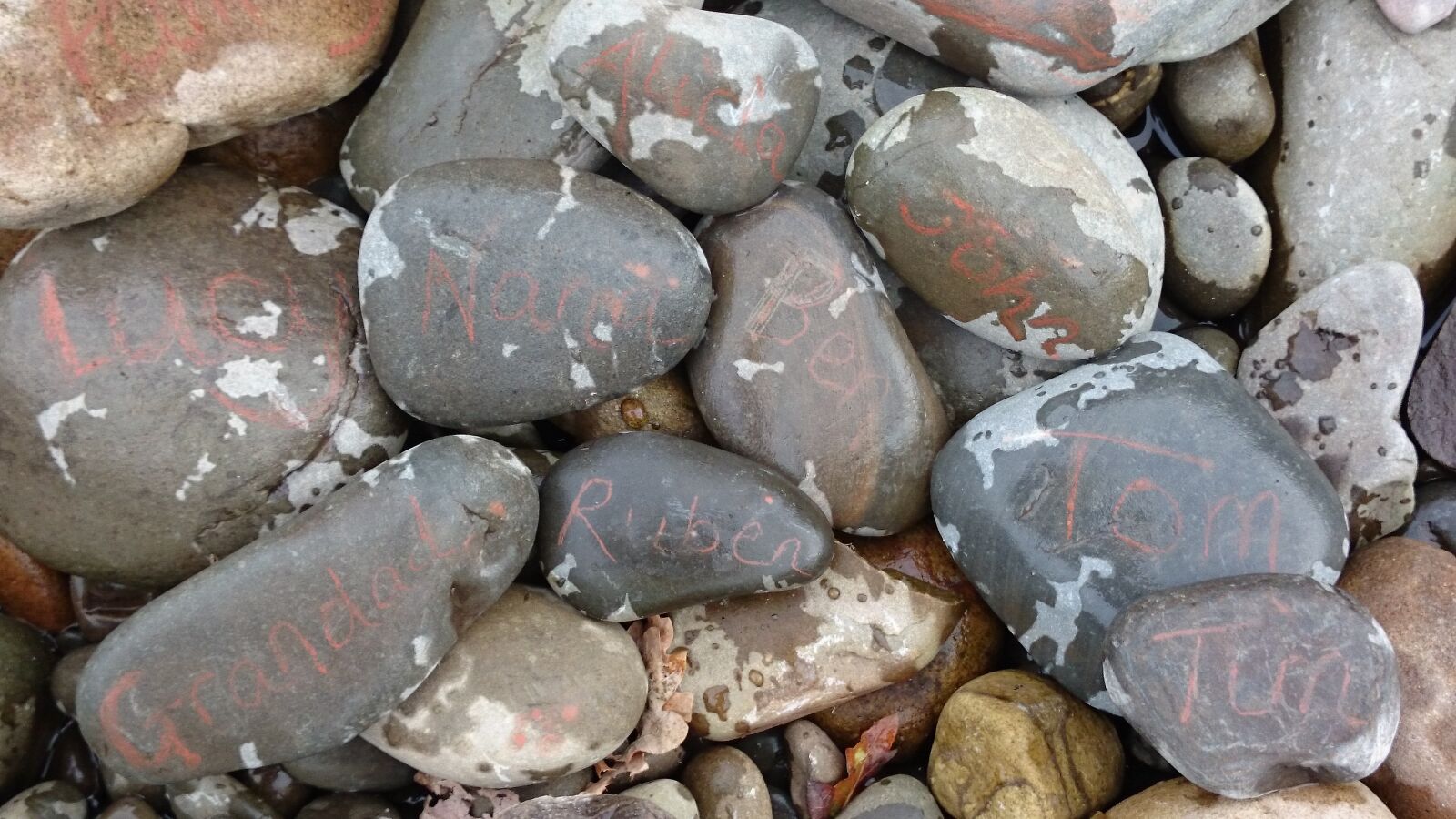 Sony Xperia Z1 Compact sample photo. Pebbles, nature, stones photography