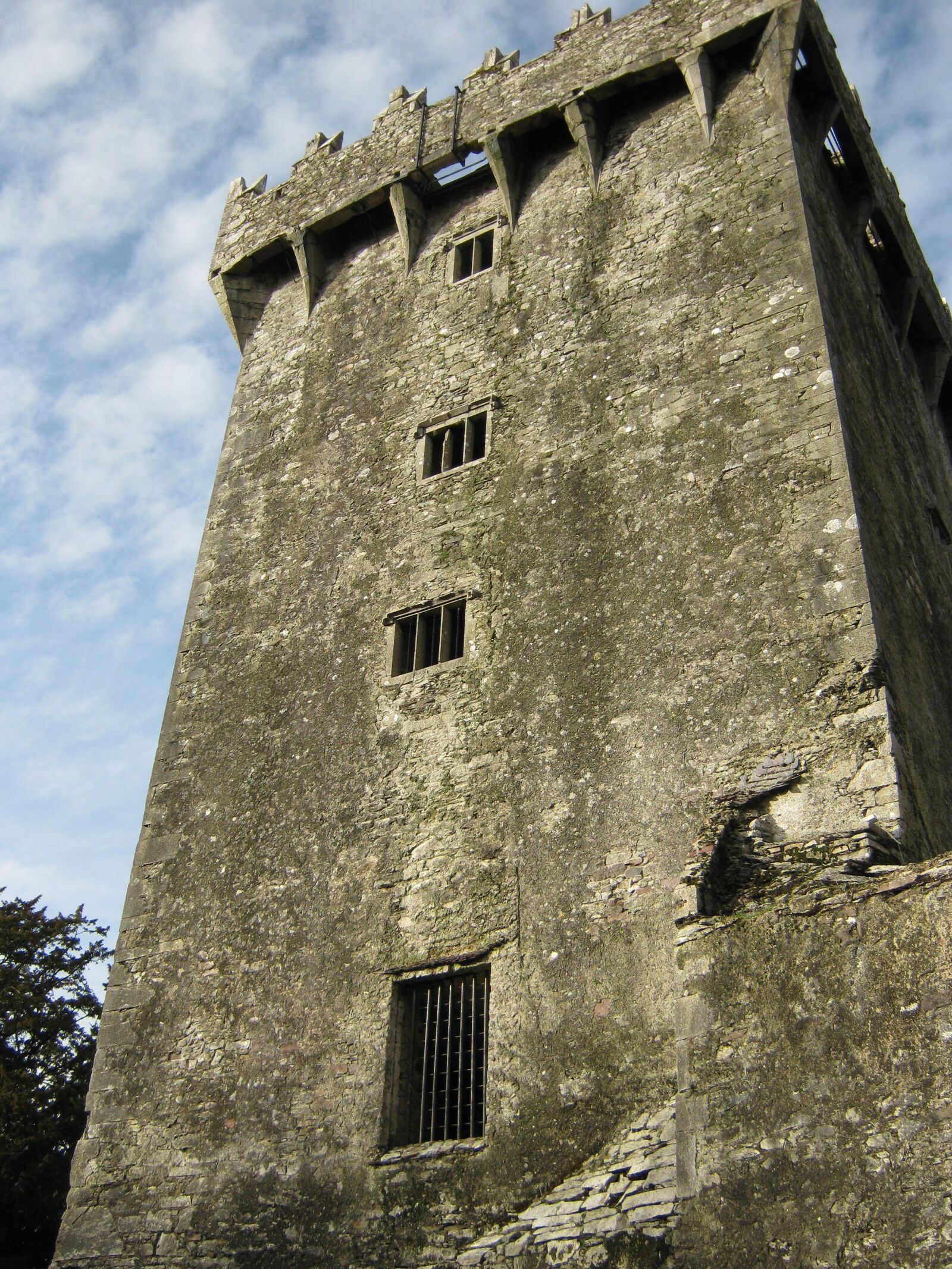 Canon PowerShot A480 sample photo. Castle, travel, ireland photography