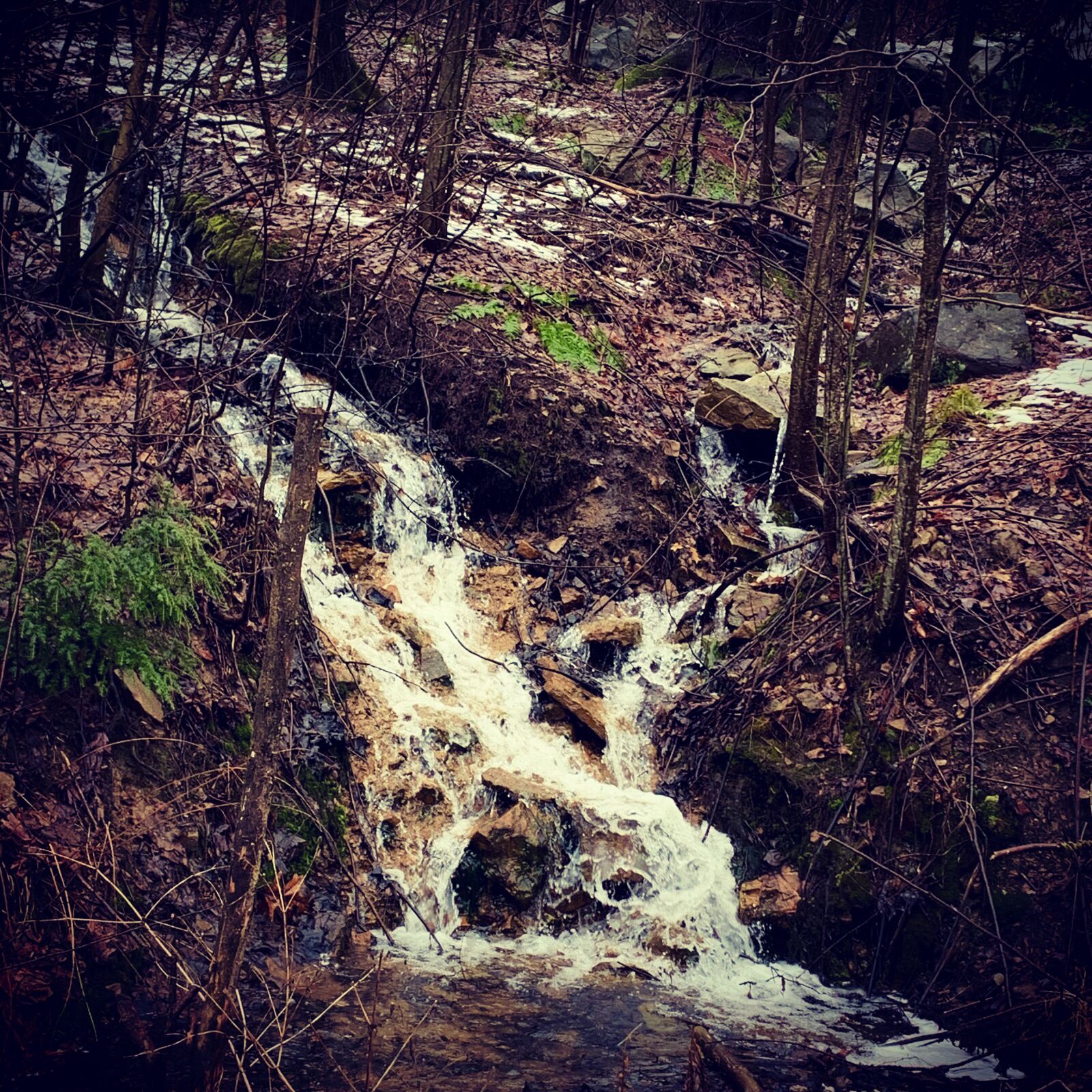 iPhone XR back camera 4.25mm f/1.8 sample photo. Waterfall, pennsylvania, stream photography