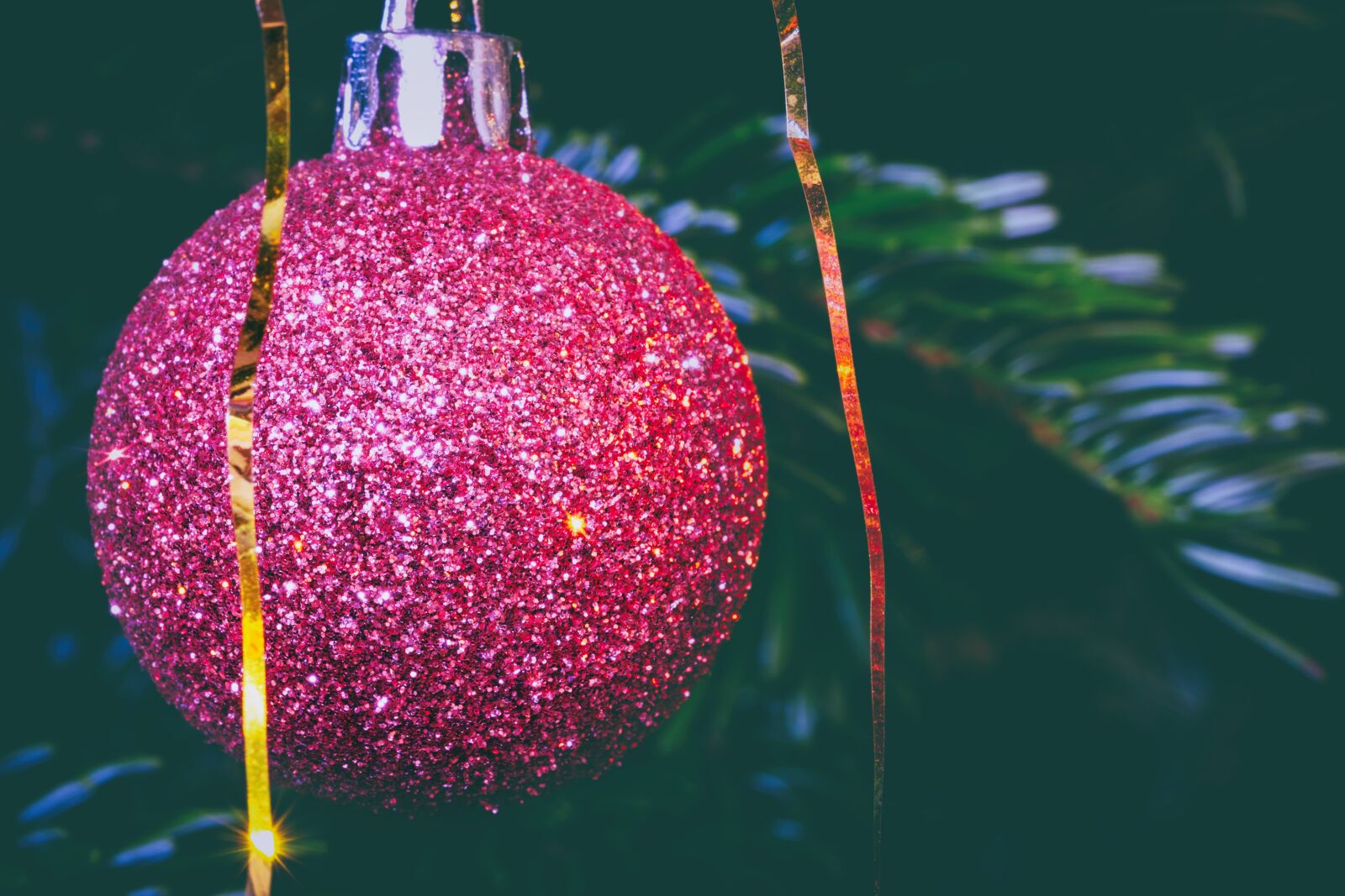 Fujifilm X-T2 + Fujifilm XF 80mm F2.8 R LM OIS WR Macro sample photo. Christmas, christmas time, christmas photography
