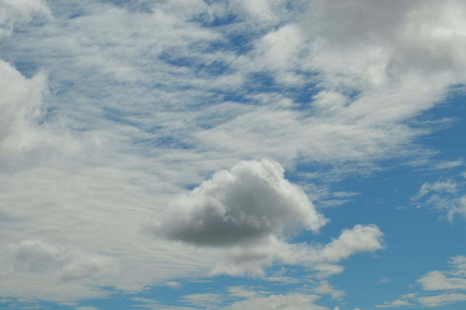 Nikon D3200 sample photo. Loneliness, cloud, sky photography