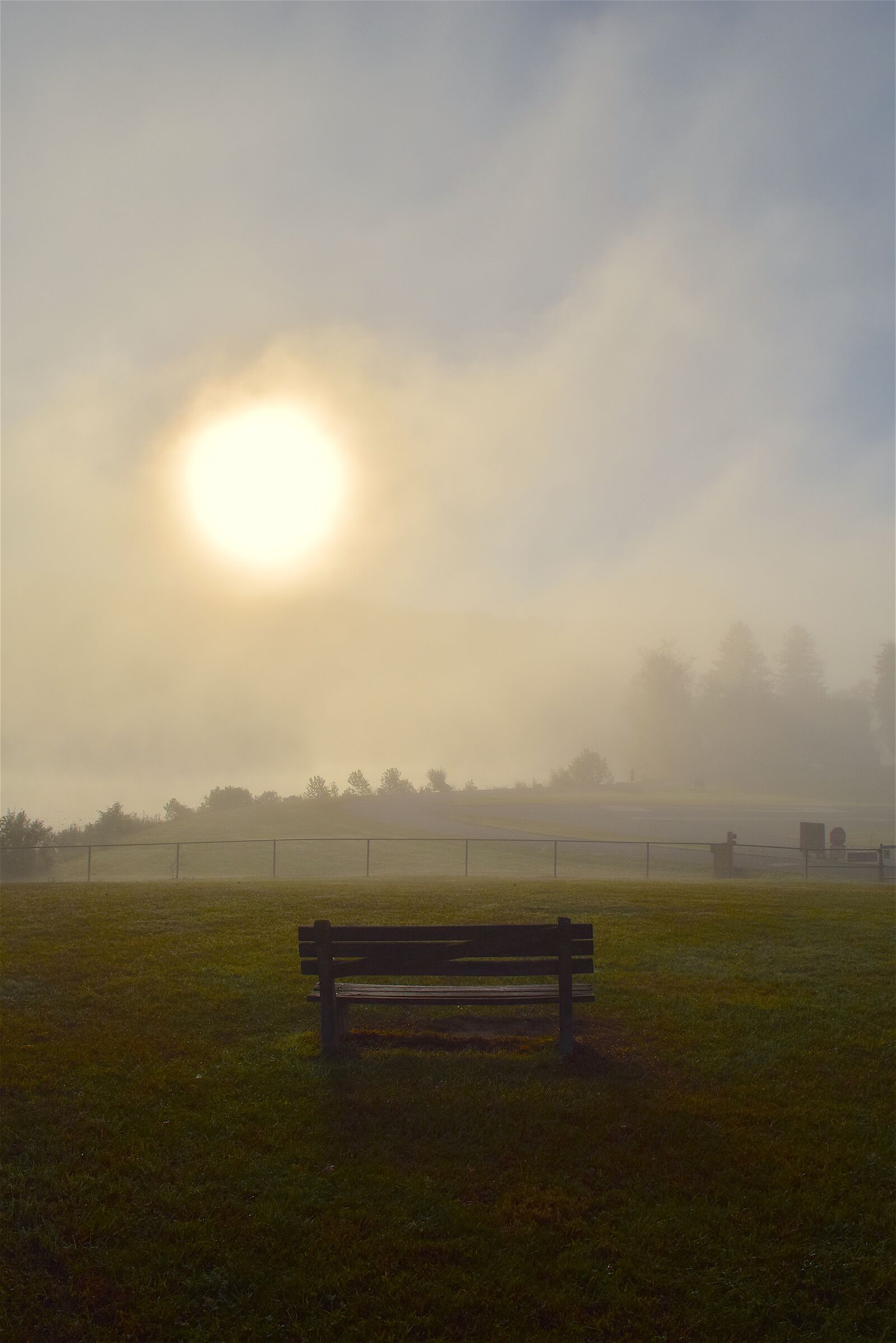 Nikon D3300 sample photo. Sun, mist, morning photography