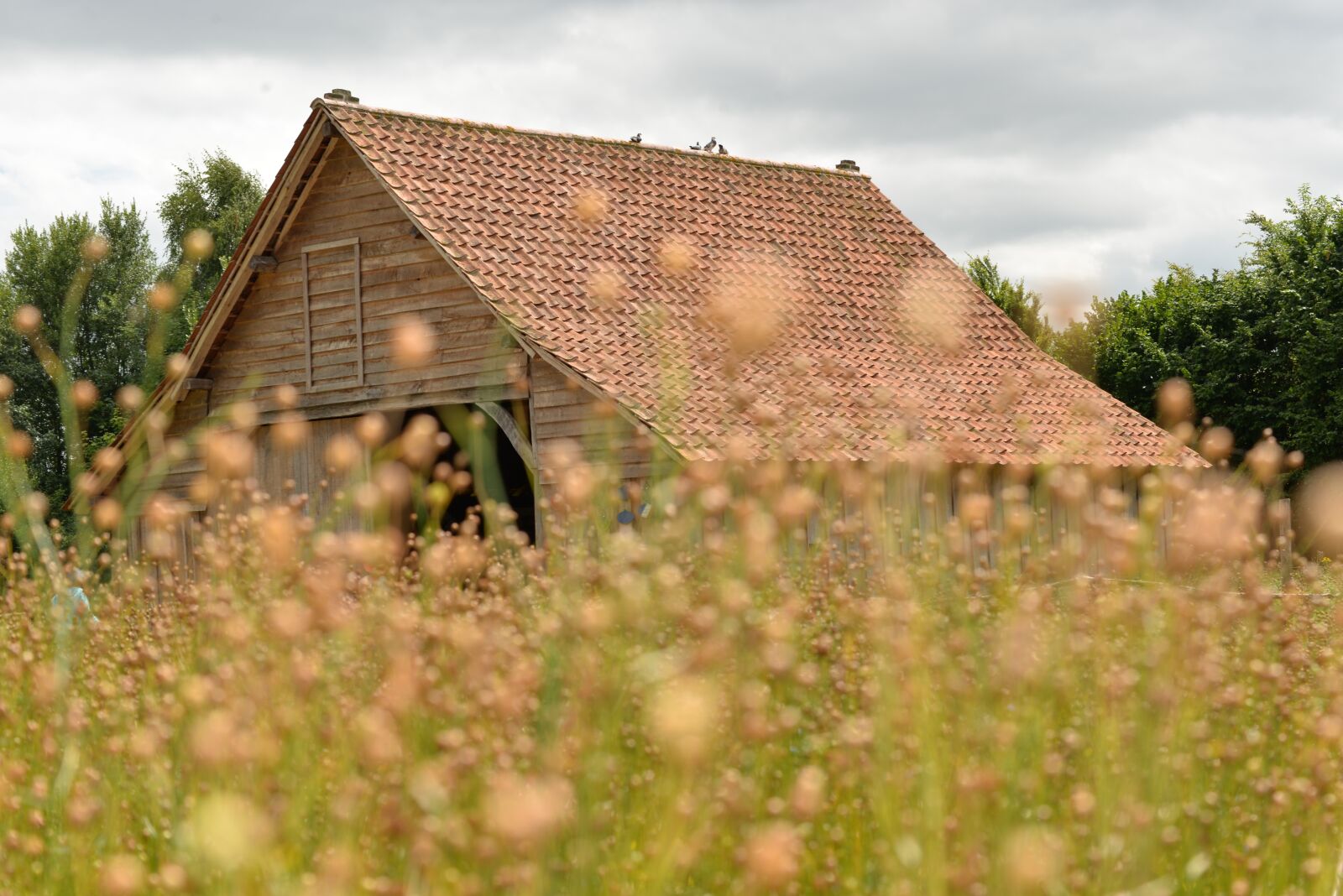 Nikon D610 sample photo. Roofing, house, fields photography