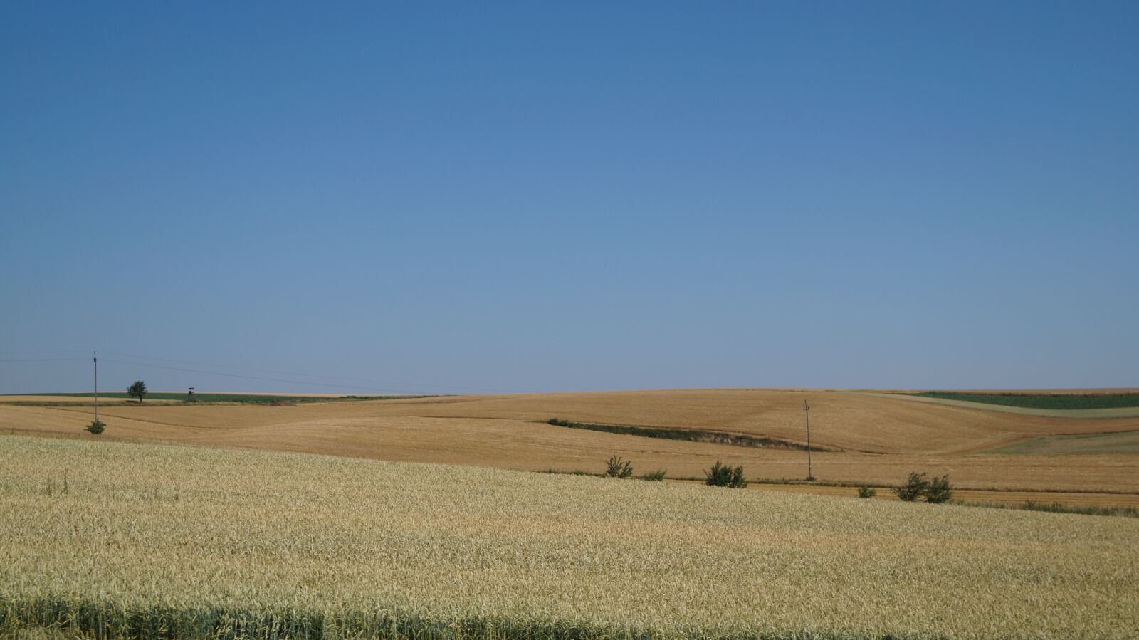 Sony SLT-A37 sample photo. Field, summer, view photography