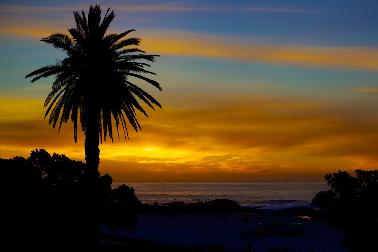 Canon EOS 6D + Canon EF 24-70mm F2.8L USM sample photo. Palm, sunset, silhouette photography