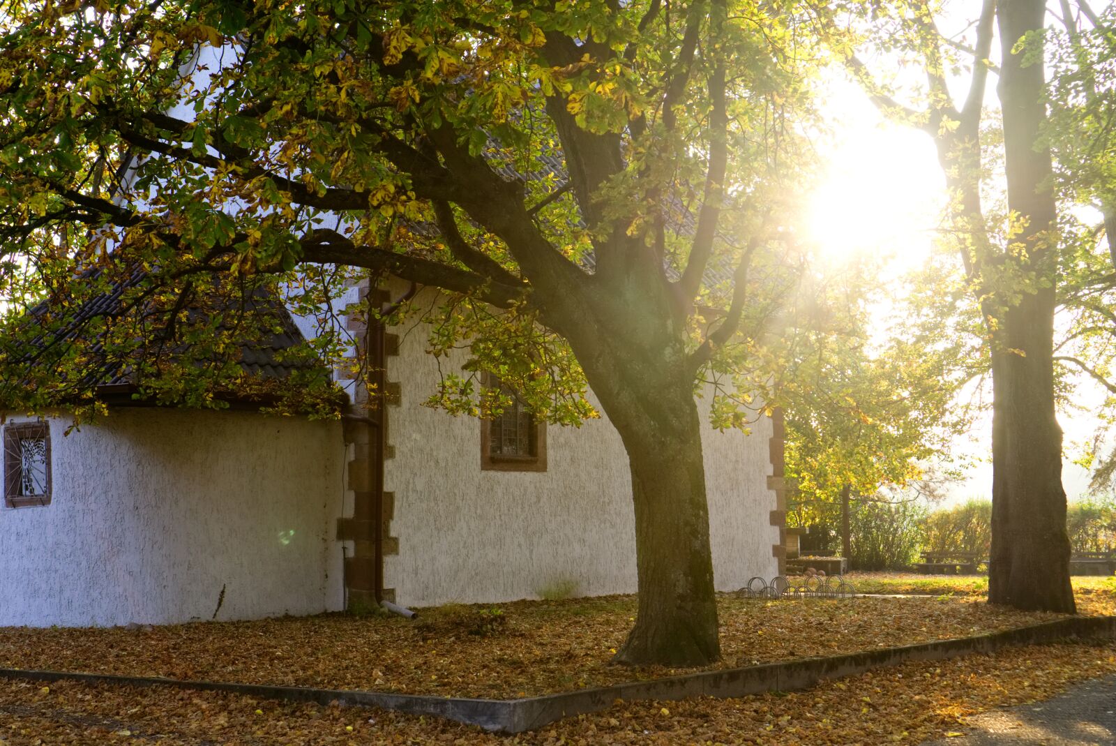 Sony a6000 + Sony E 35mm F1.8 OSS sample photo. Chapel, church, backlighting photography