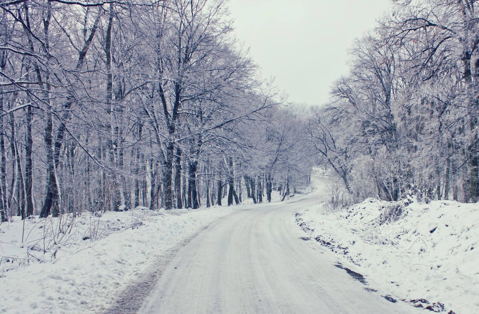 Canon EF-S 18-55mm F3.5-5.6 IS sample photo. November, road, frost, forest photography