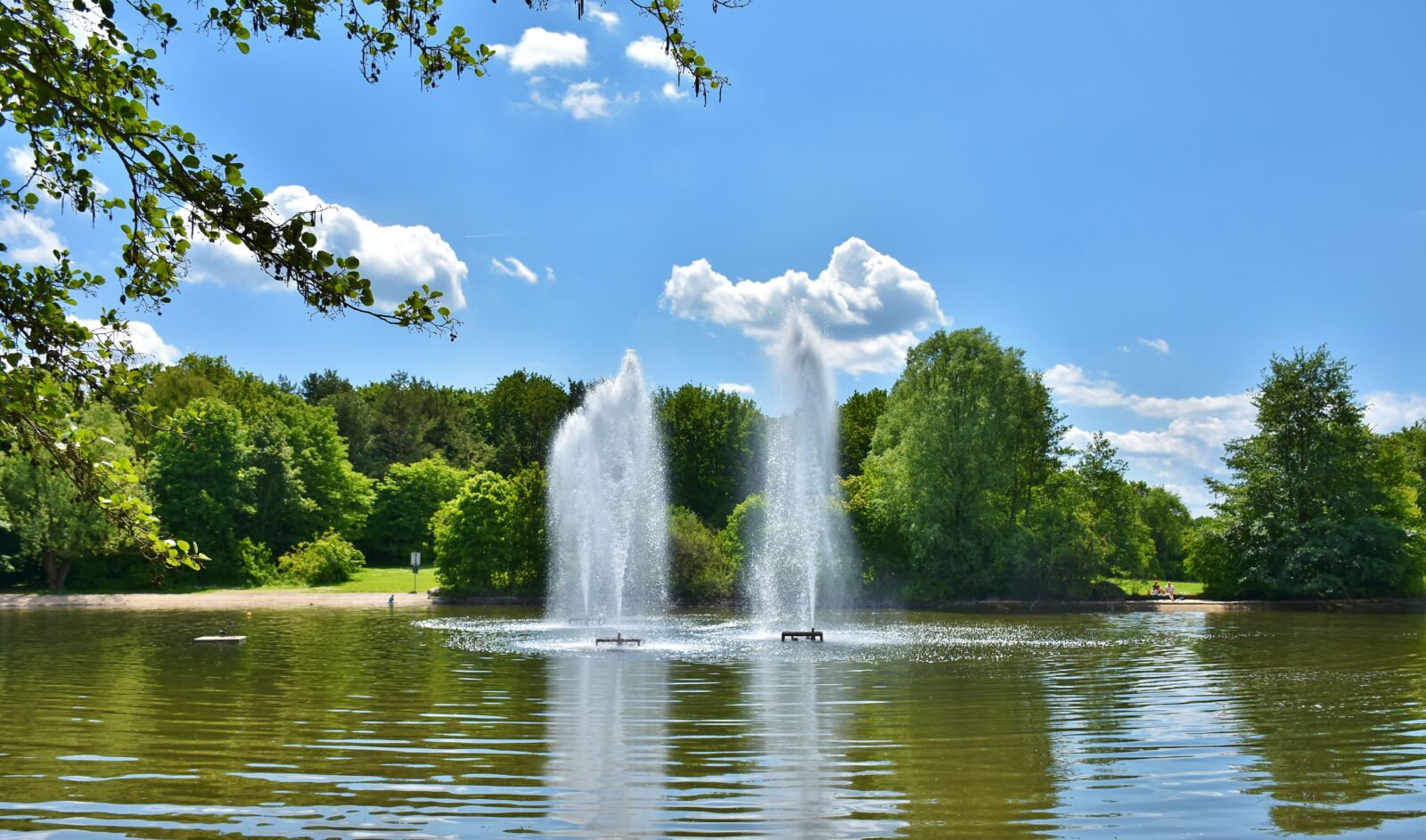 Nikon D7200 sample photo. Park, green area, rush photography