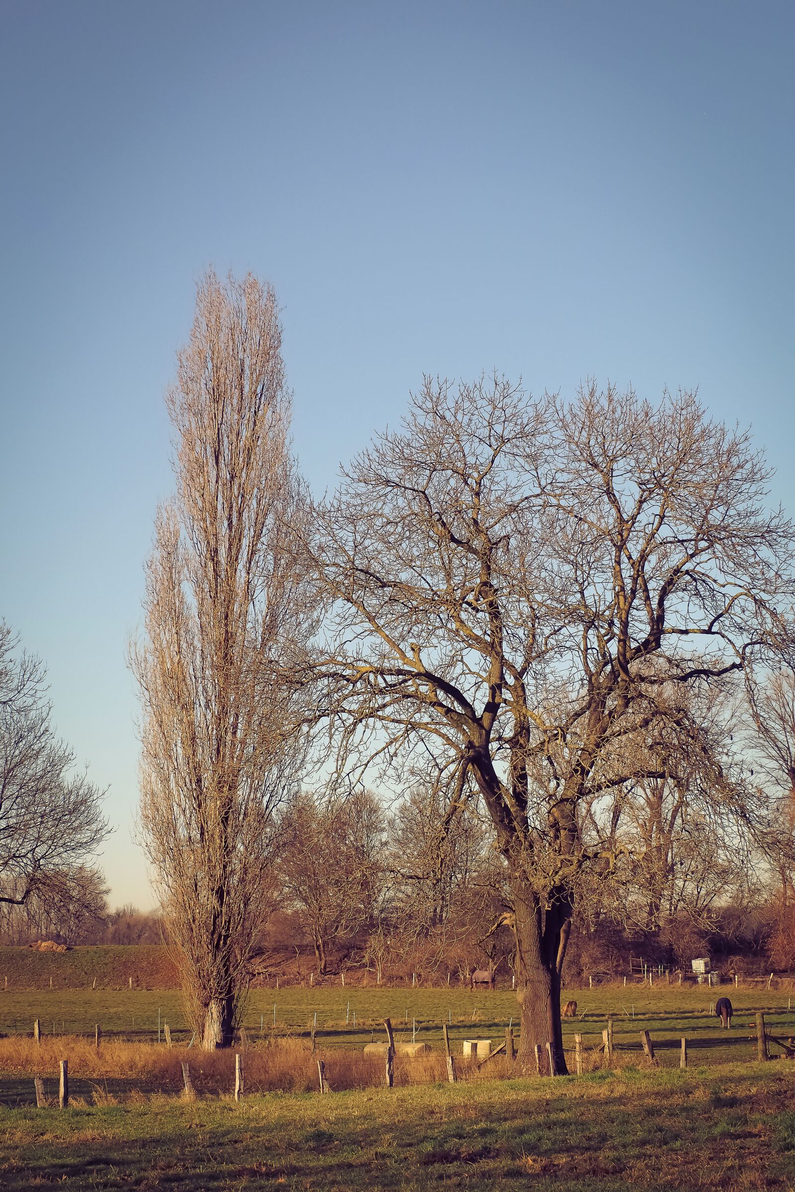Olympus OM-D E-M10 sample photo. Landscape, nature, mood photography
