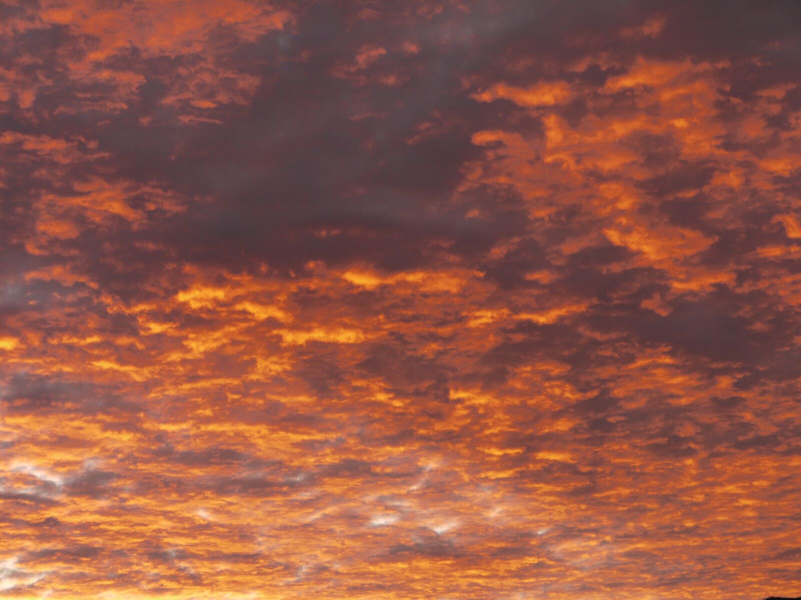 Panasonic Lumix DMC-GF1 sample photo. Sky, clouds, sunset photography
