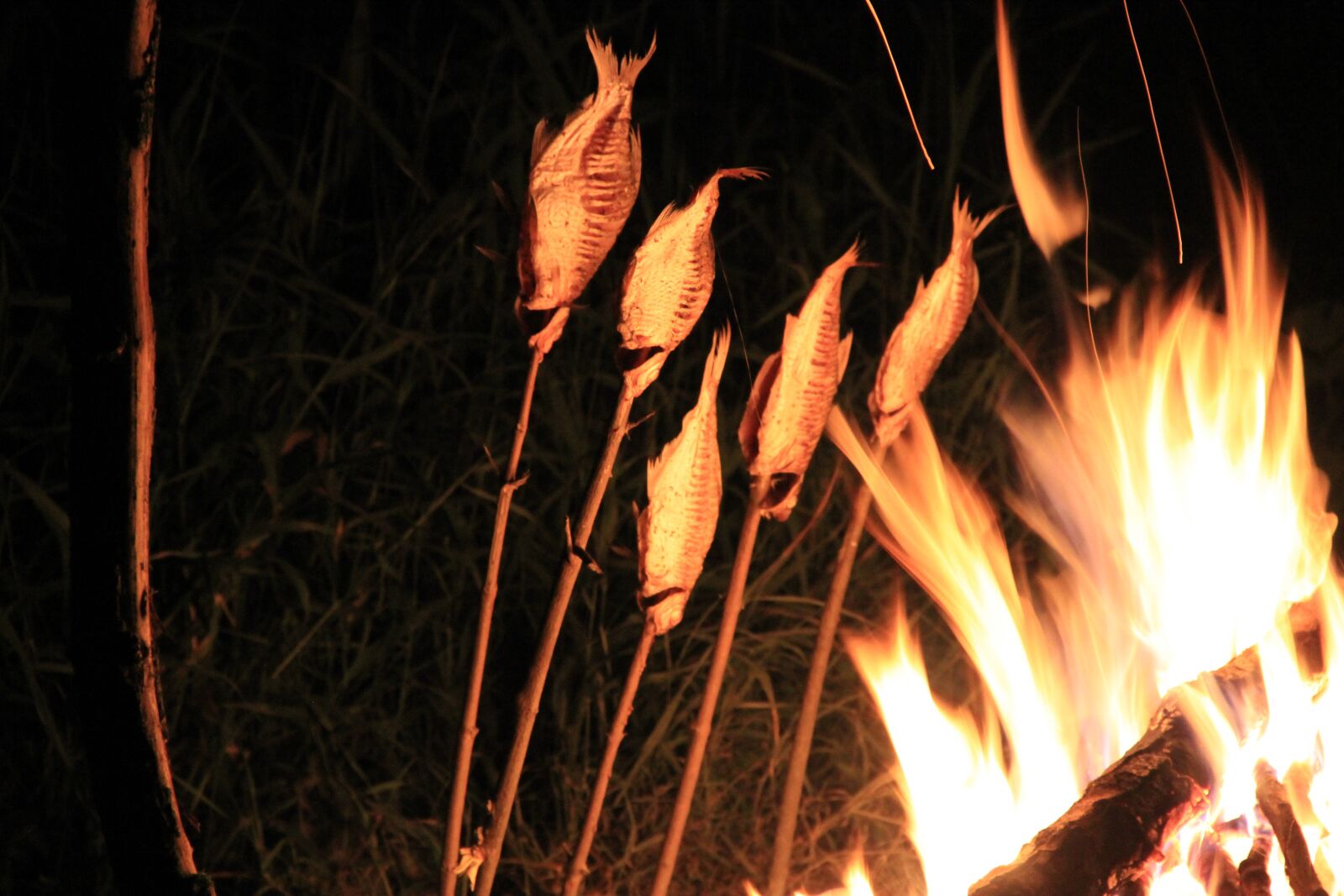 Canon EOS 550D (EOS Rebel T2i / EOS Kiss X4) sample photo. Fire, fish, spit photography