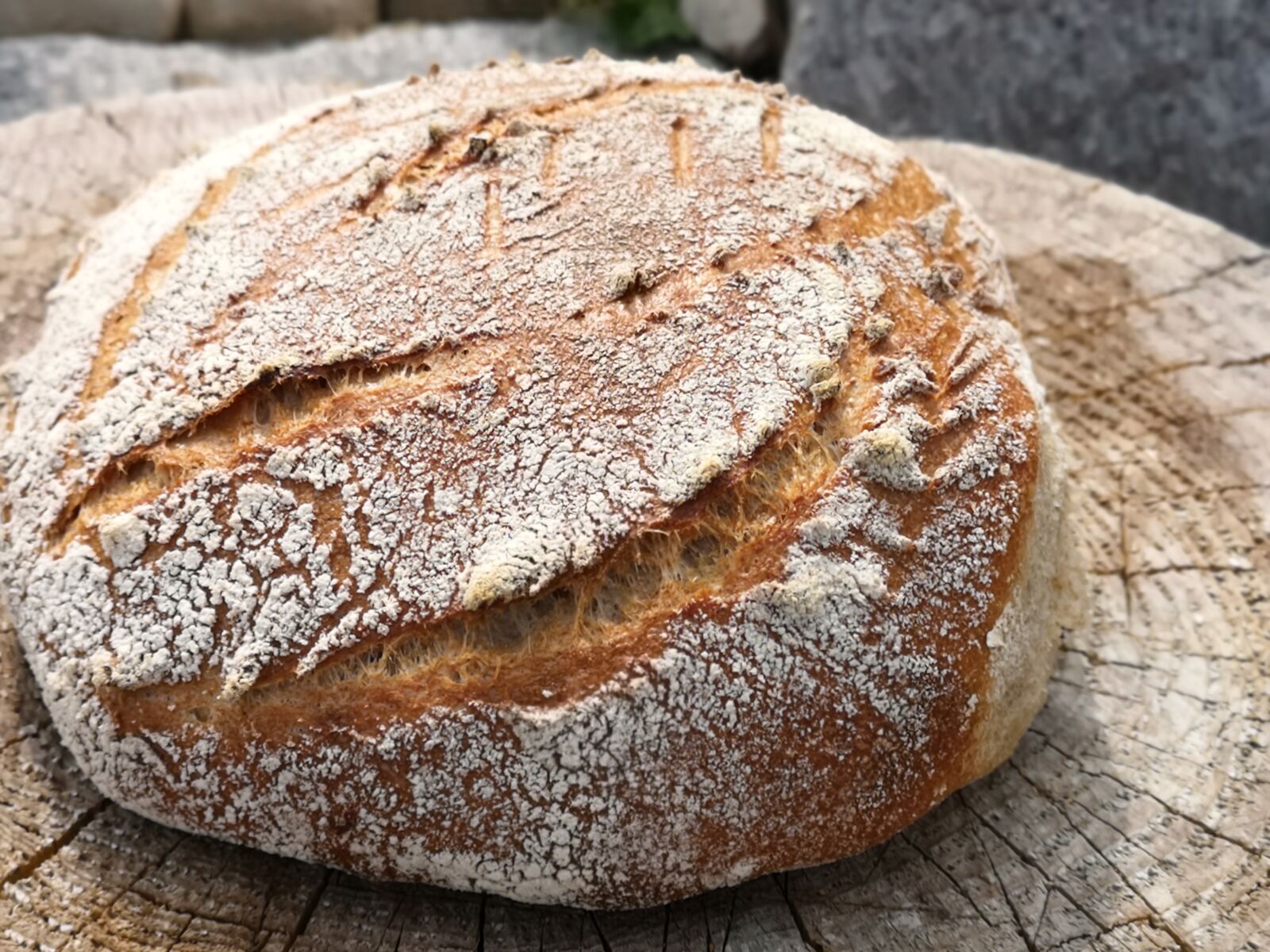 HUAWEI CLT-L29 sample photo. Bread, bake, flour photography
