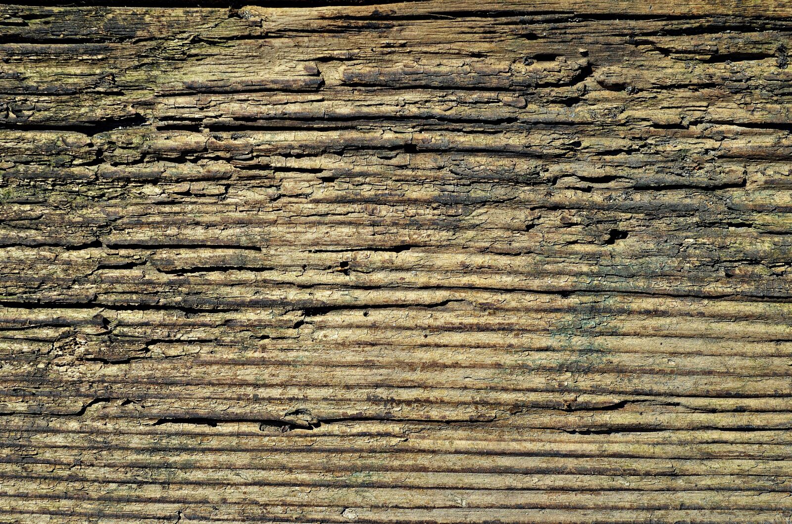 Nikon D5100 sample photo. Wood, board, texture photography