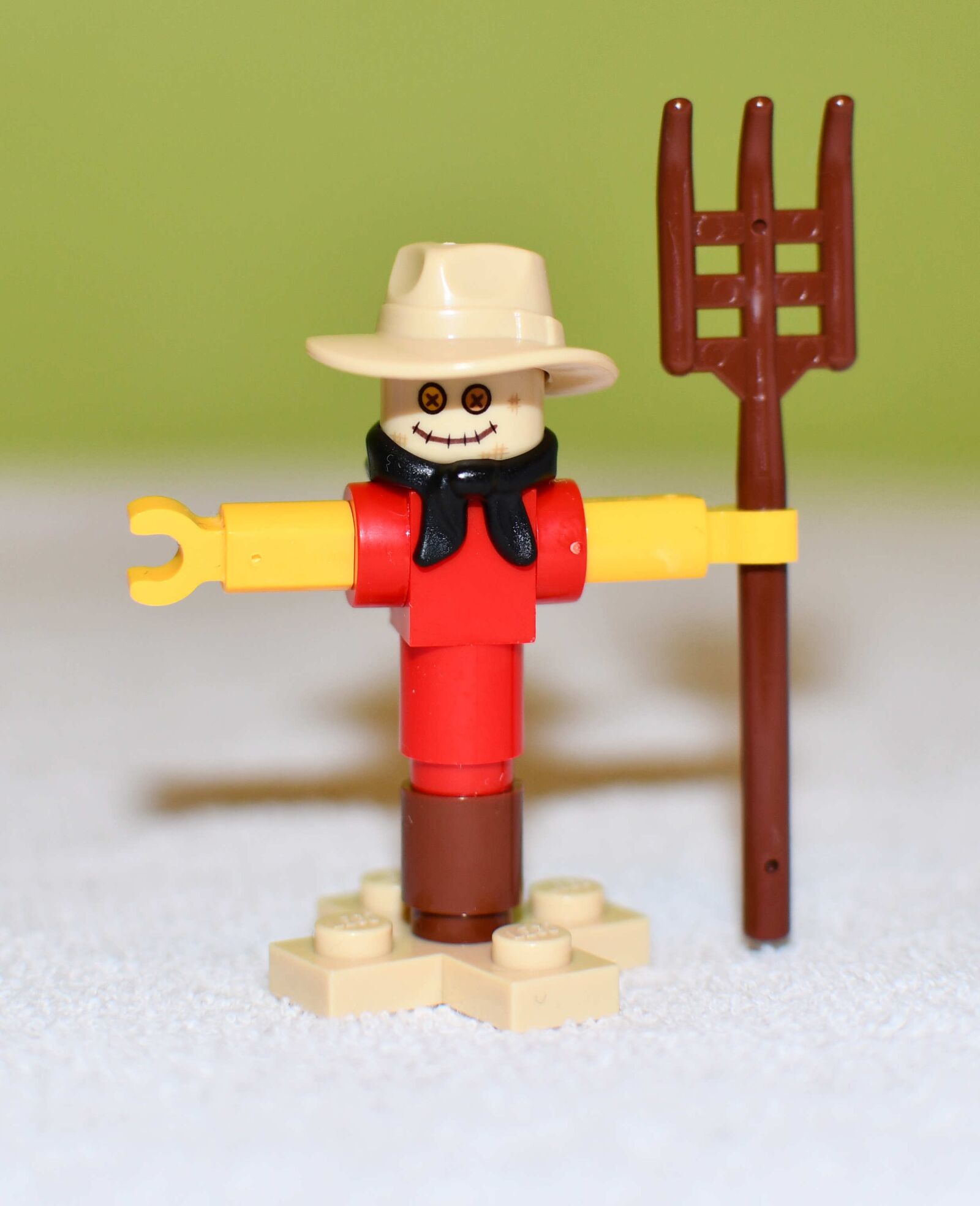 Nikon D7500 sample photo. Pads, toy, scarecrow photography