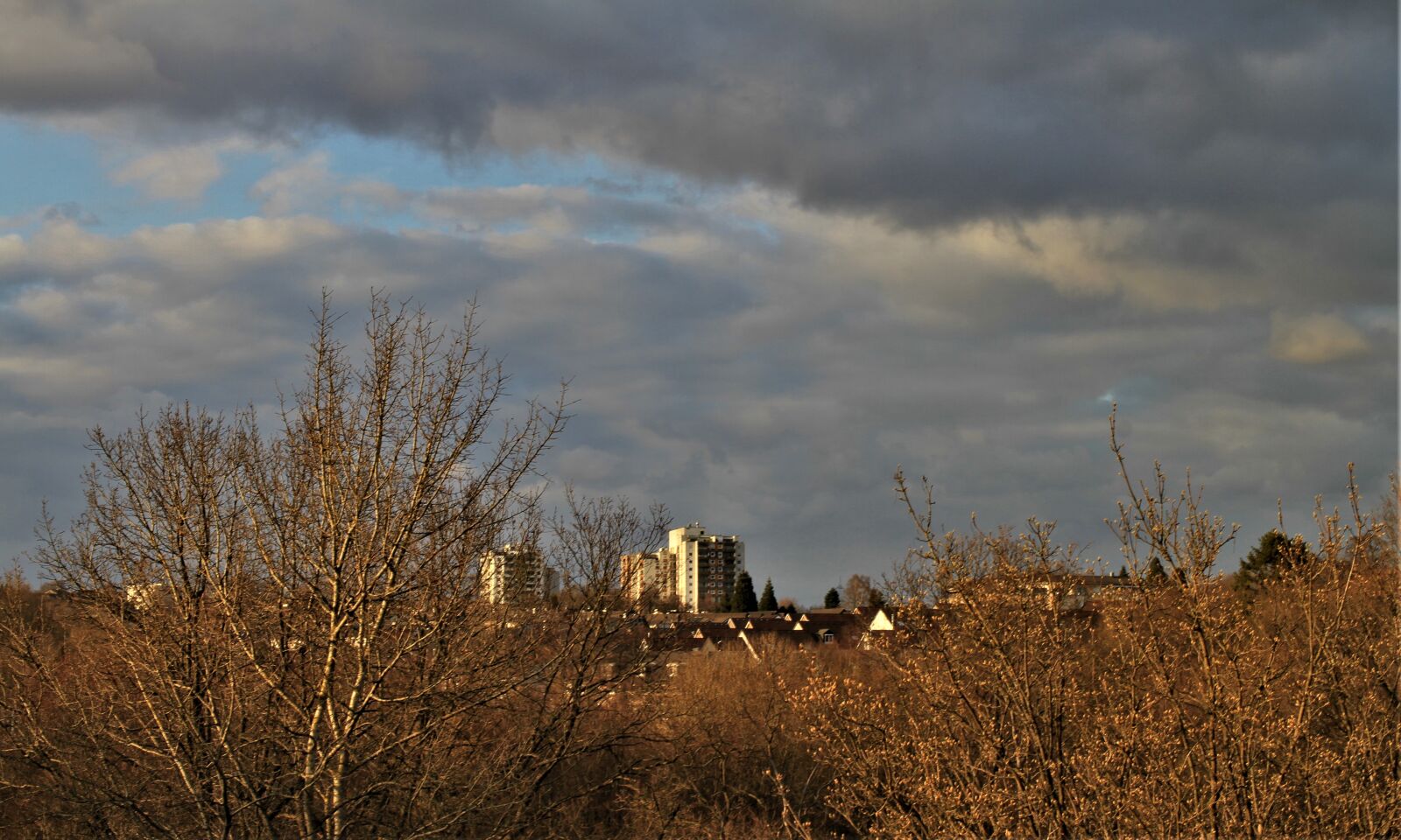 Canon EOS 7D sample photo. Sky, trees, clouds photography