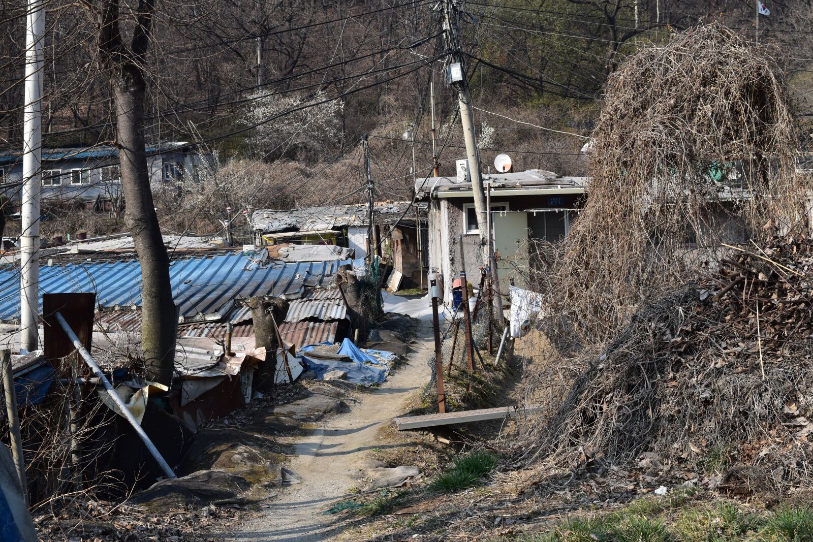 Nikon D5500 sample photo. Country, gil, wood photography