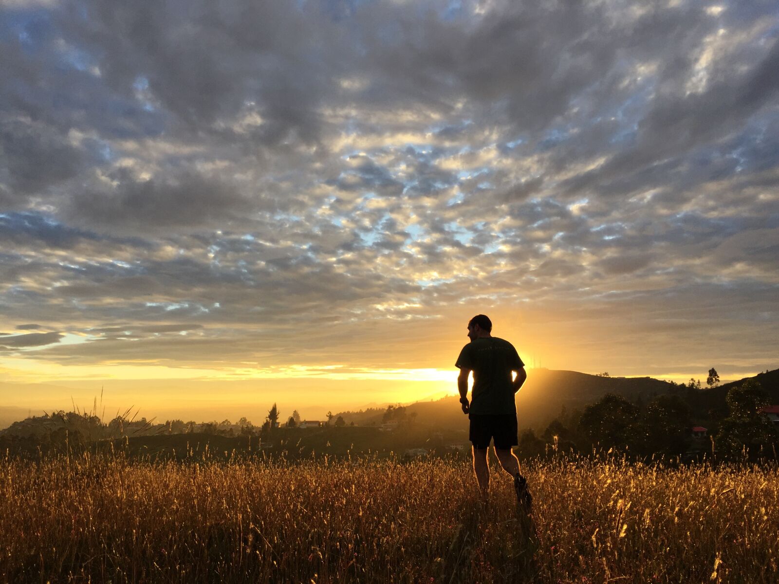 iPhone 6 back camera 4.15mm f/2.2 sample photo. Sunset, run, running photography