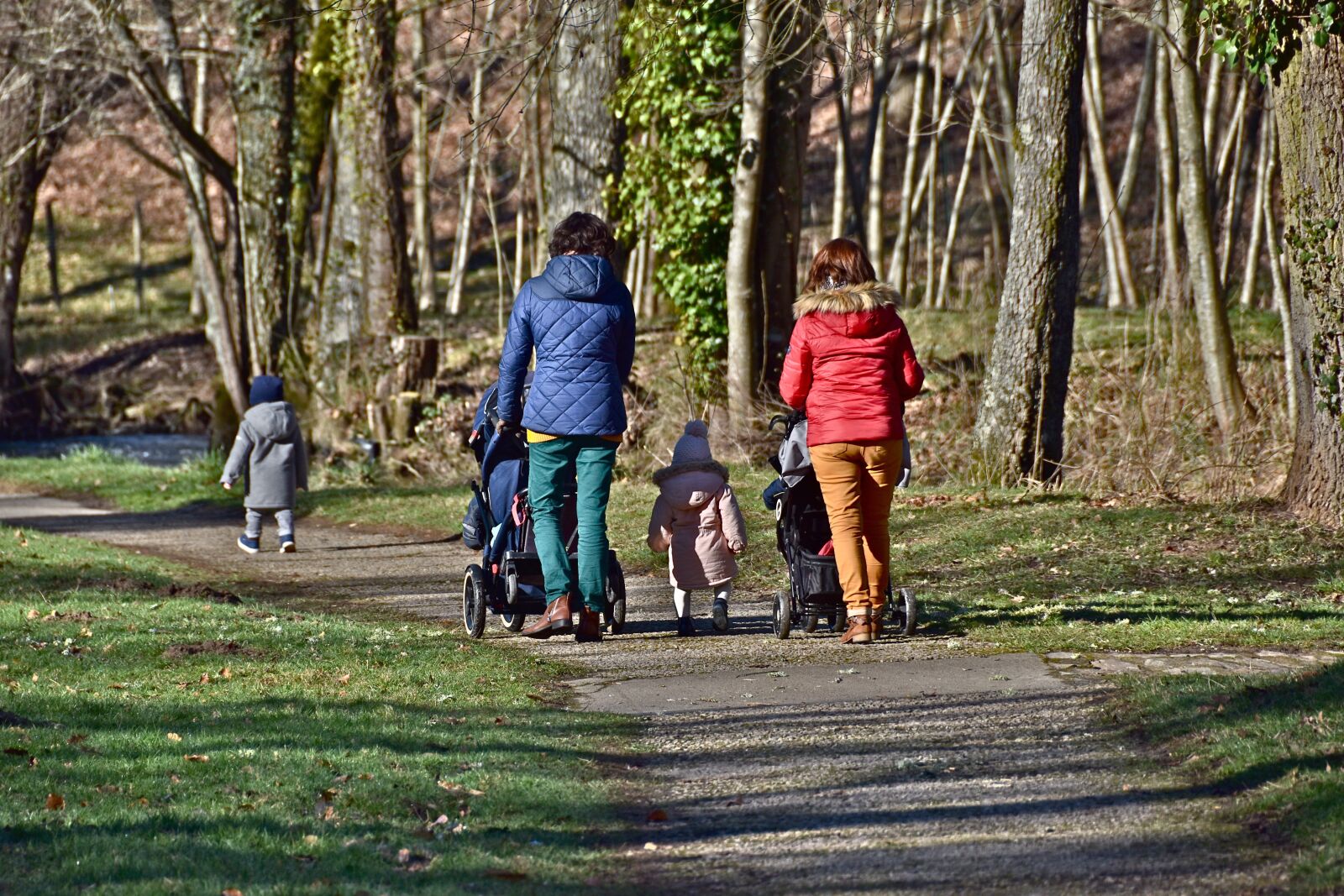 Nikon D5600 sample photo. People, walkers, children photography