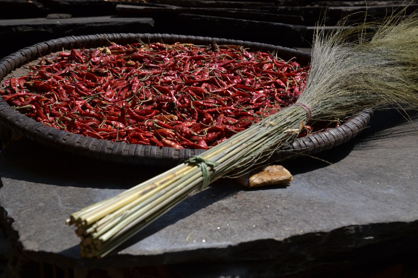 Nikon D3100 sample photo. Chilli, sharp, pepper photography