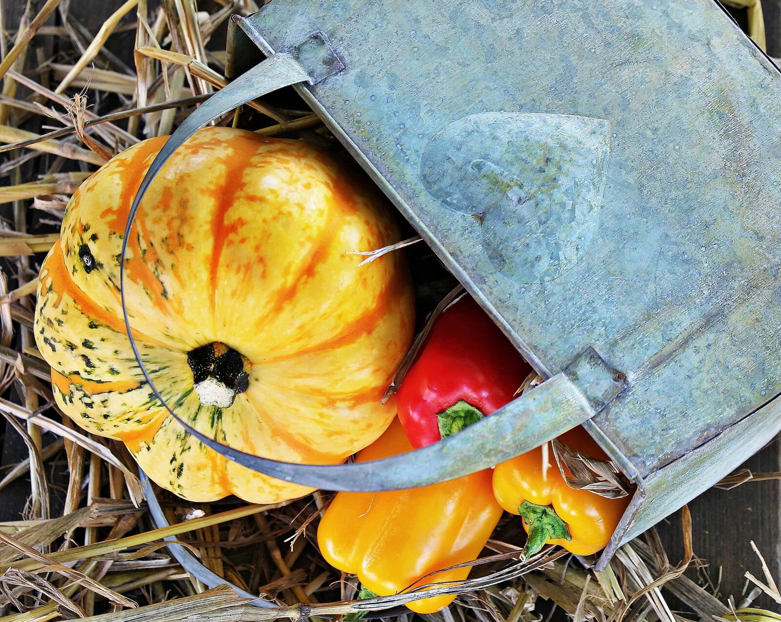 Canon EOS 550D (EOS Rebel T2i / EOS Kiss X4) sample photo. Leaf, food, pumpkin, vegetable photography