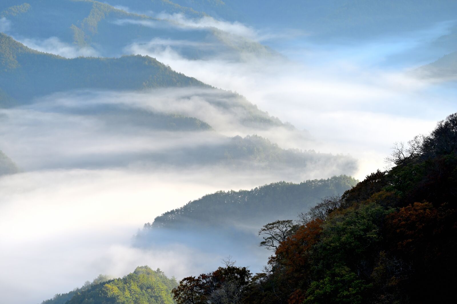 Nikon Z6 sample photo. Sea of clouds, mountain photography