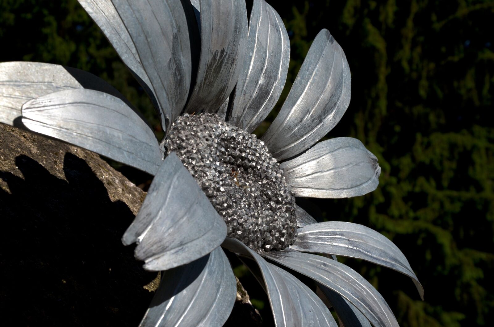 Nikon D5100 sample photo. Flower, iron, silver photography