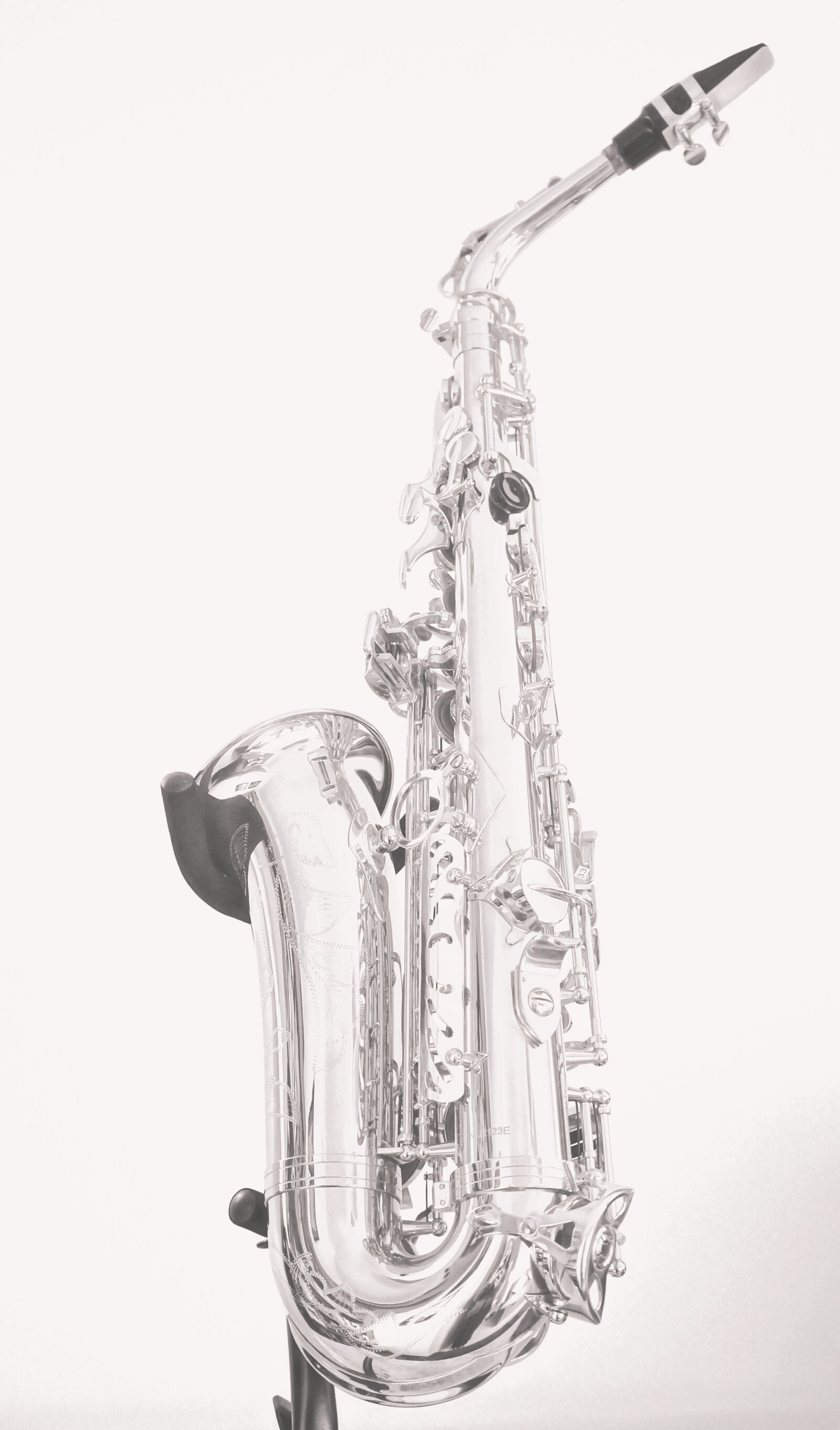 Sony Alpha NEX-5N + Sony E 18-55mm F3.5-5.6 OSS sample photo. Saxophone, black and white photography
