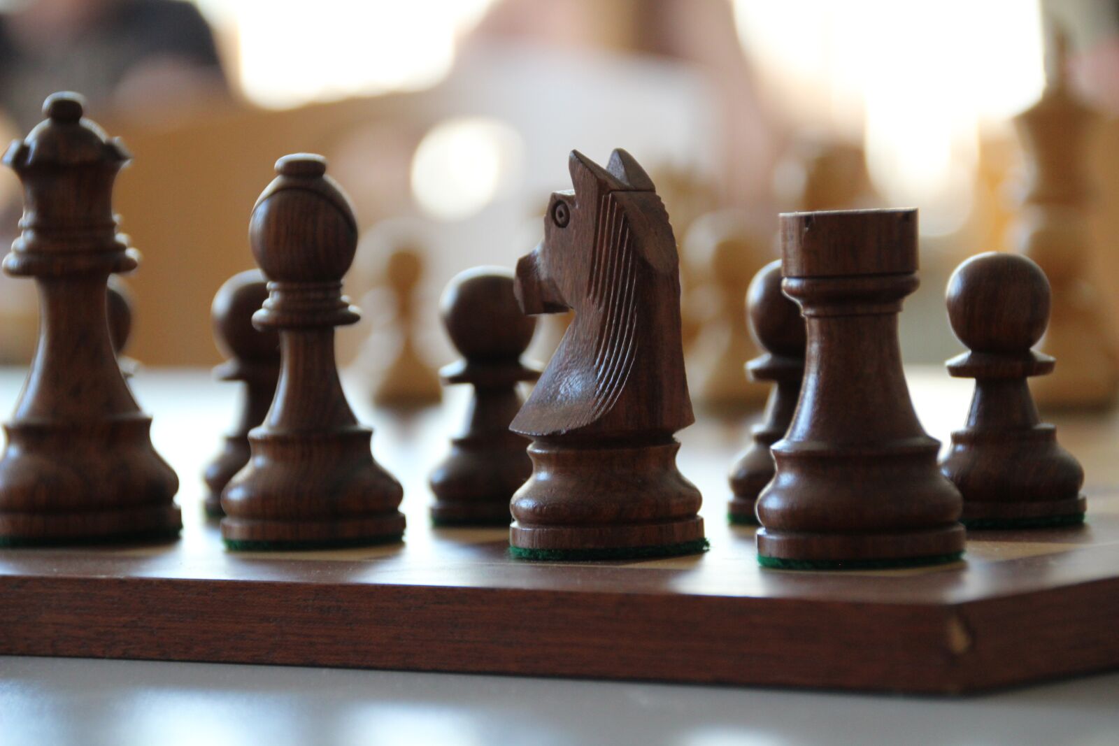 Canon EOS 600D (Rebel EOS T3i / EOS Kiss X5) sample photo. Chess, chess board, horse photography