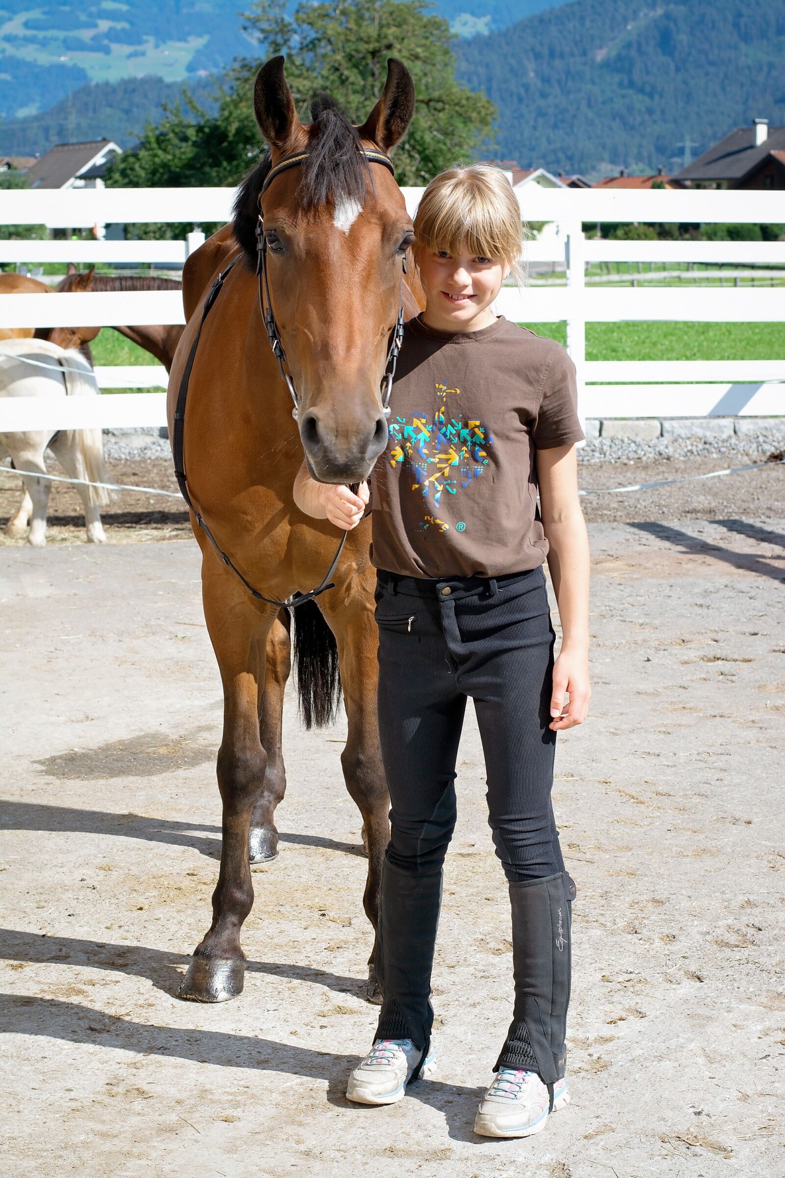 Nikon D7100 sample photo. Horse, pony, brown photography