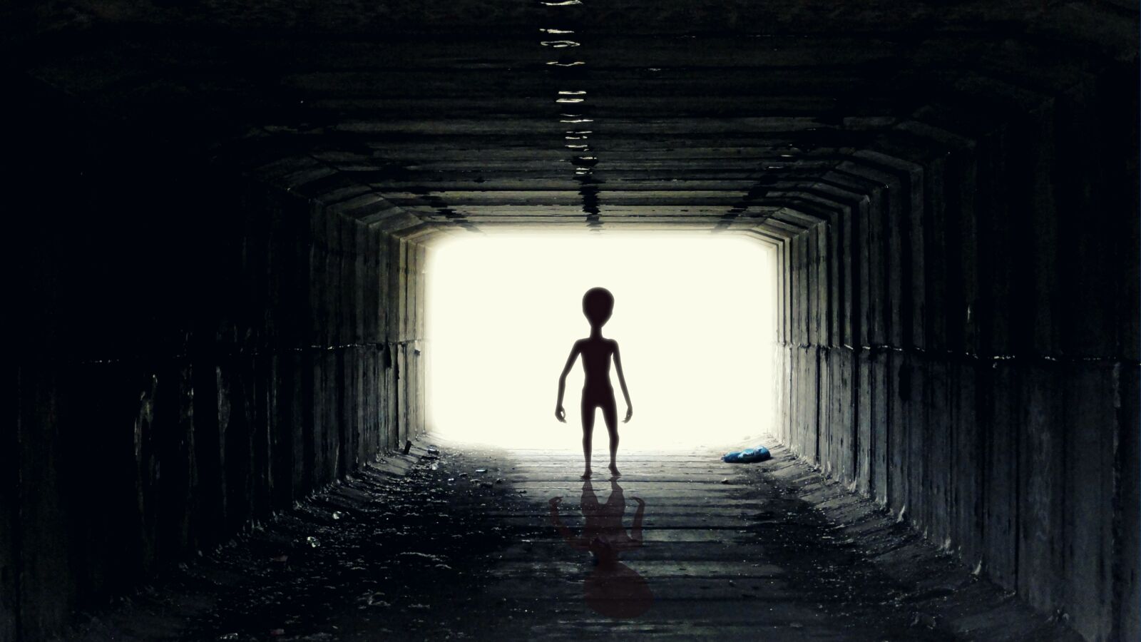 Sony DSC-HX5V sample photo. Ufo, alien, guy photography