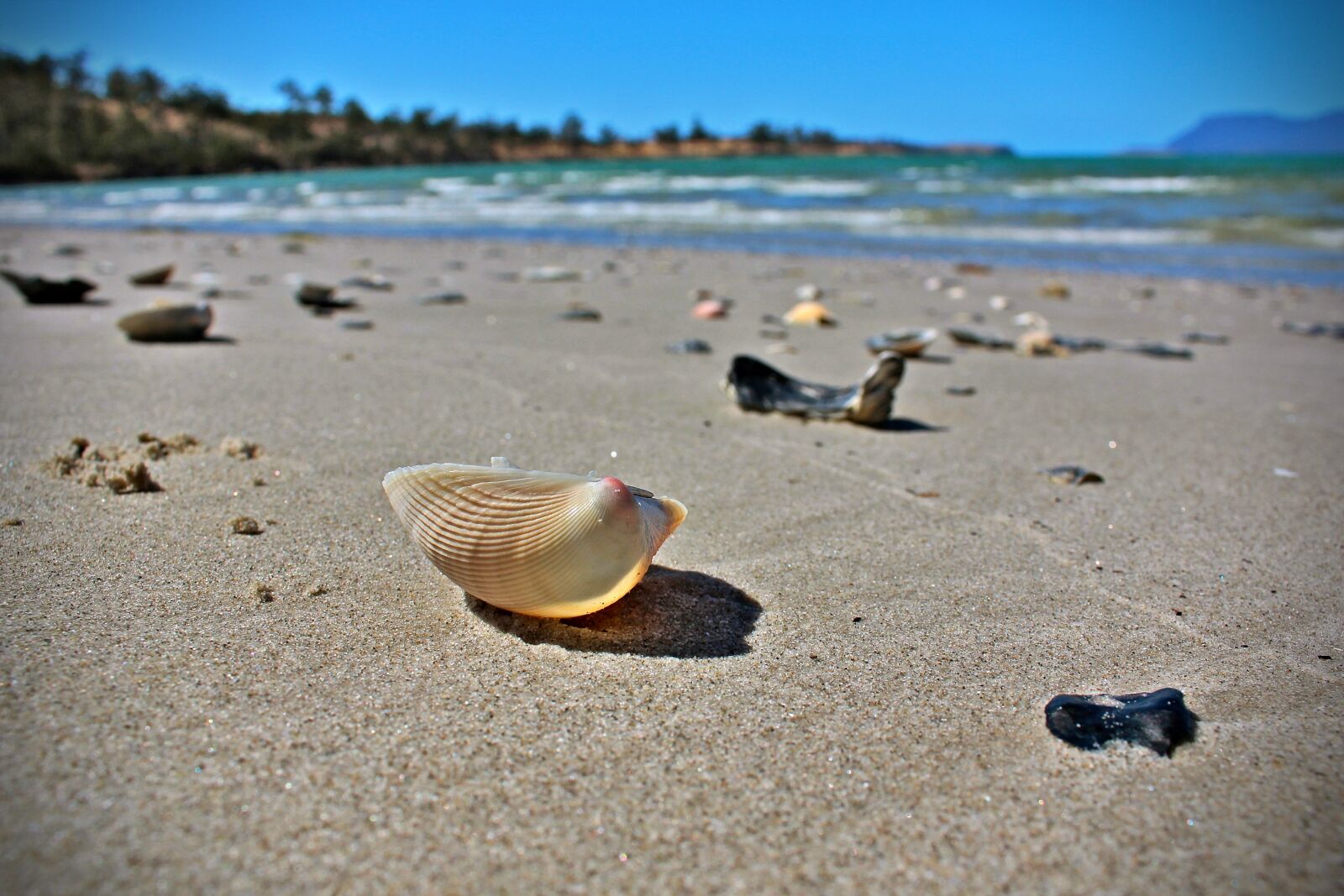 Canon EOS 600D (Rebel EOS T3i / EOS Kiss X5) sample photo. Australia, tasmania, nature photography