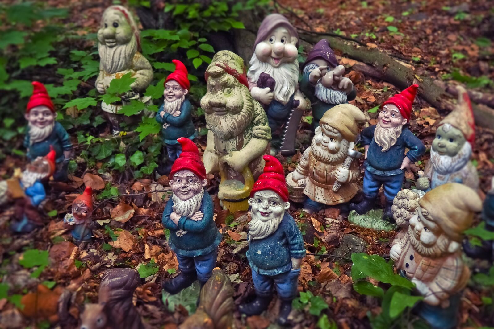 Olympus OM-D E-M10 sample photo. Dwarfs, garden gnomes, flowers photography