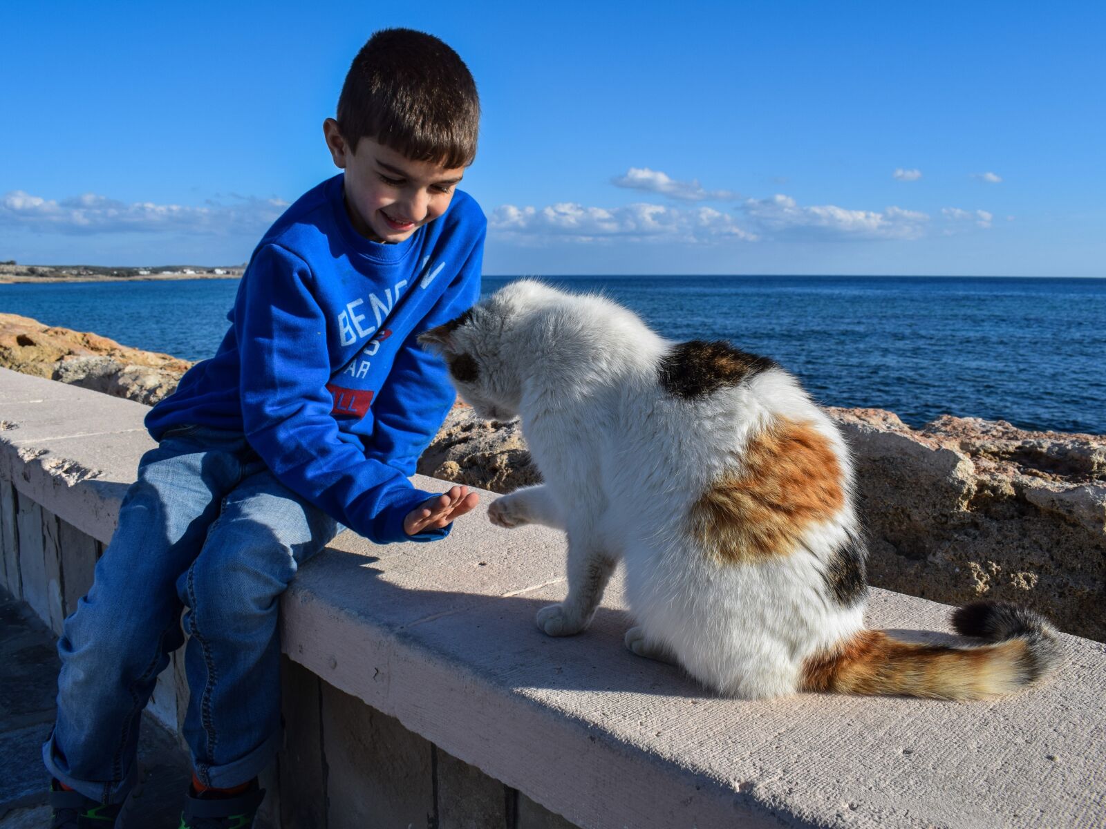 Nikon D3300 sample photo. Kid, boy, playing photography