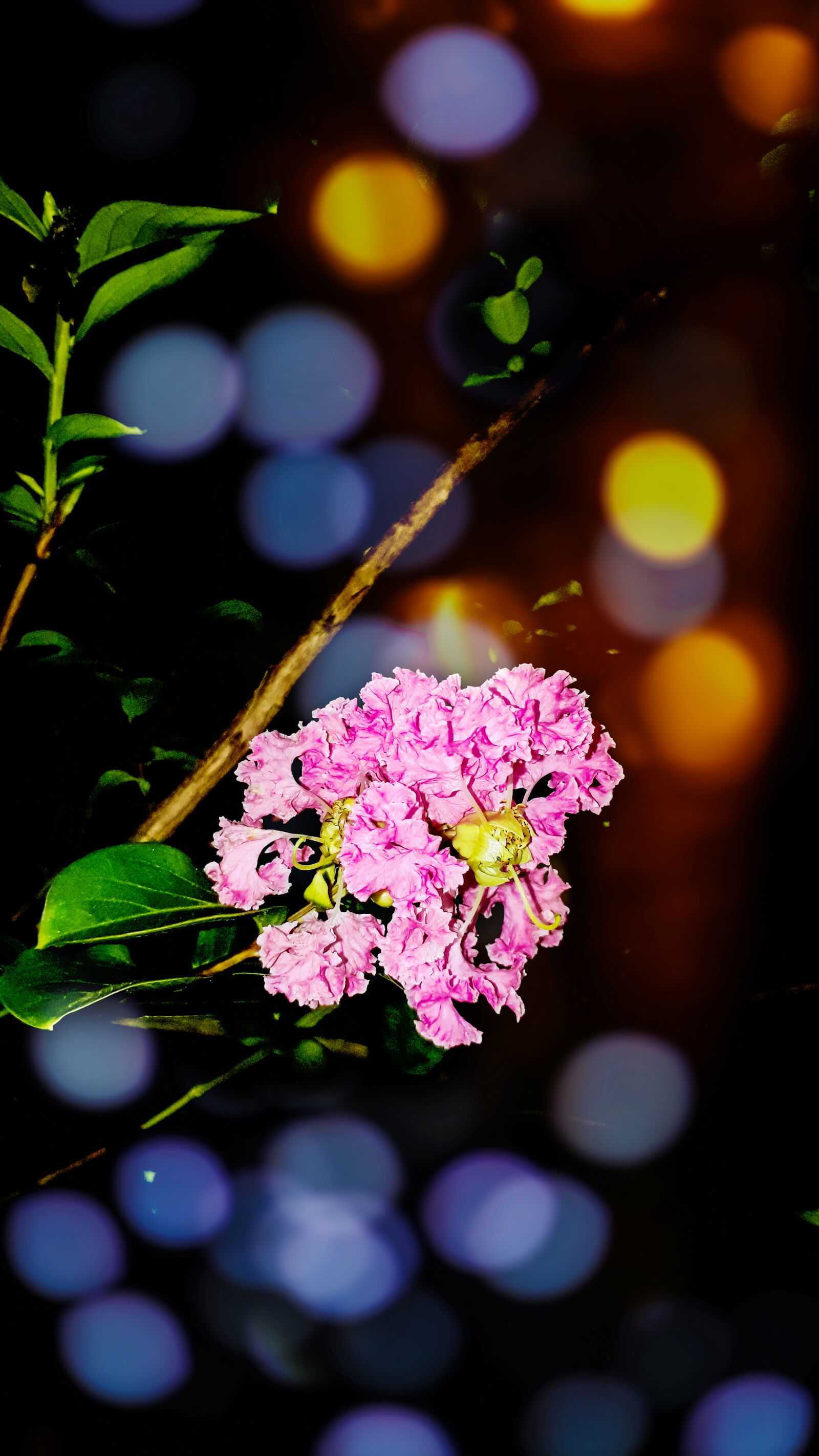 Samsung Galaxy J5 Prime sample photo. Artificial, flowers photography