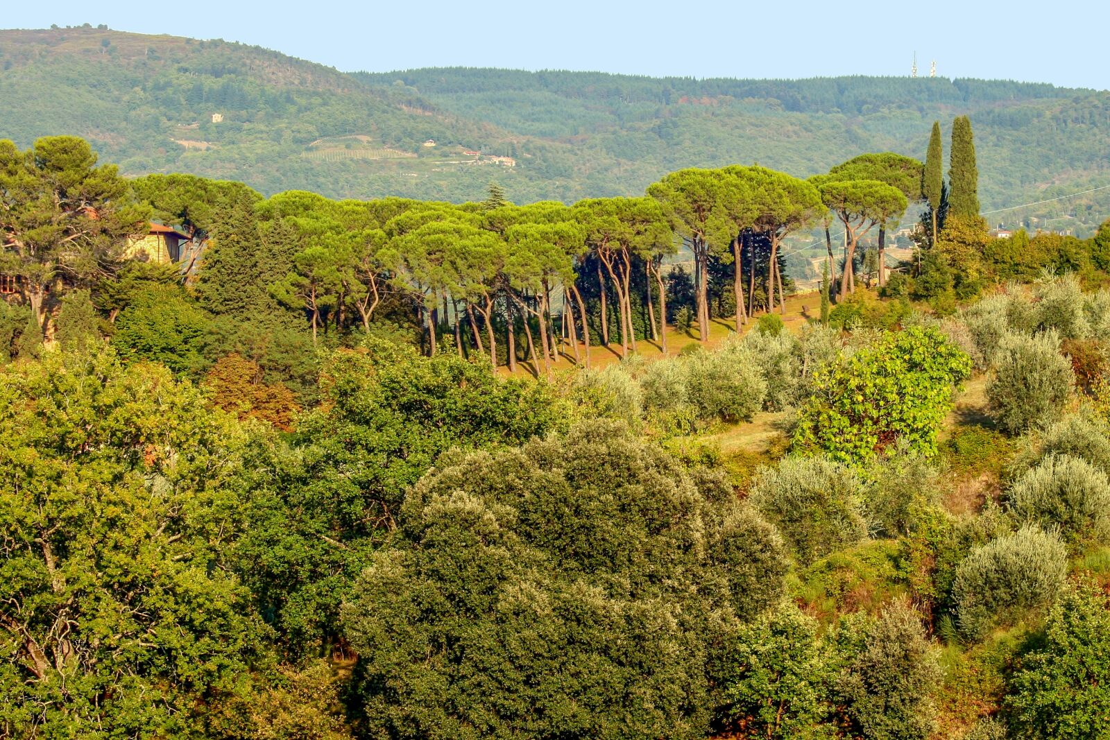 Canon EOS 30D sample photo. Tuscany, italy, landscape photography