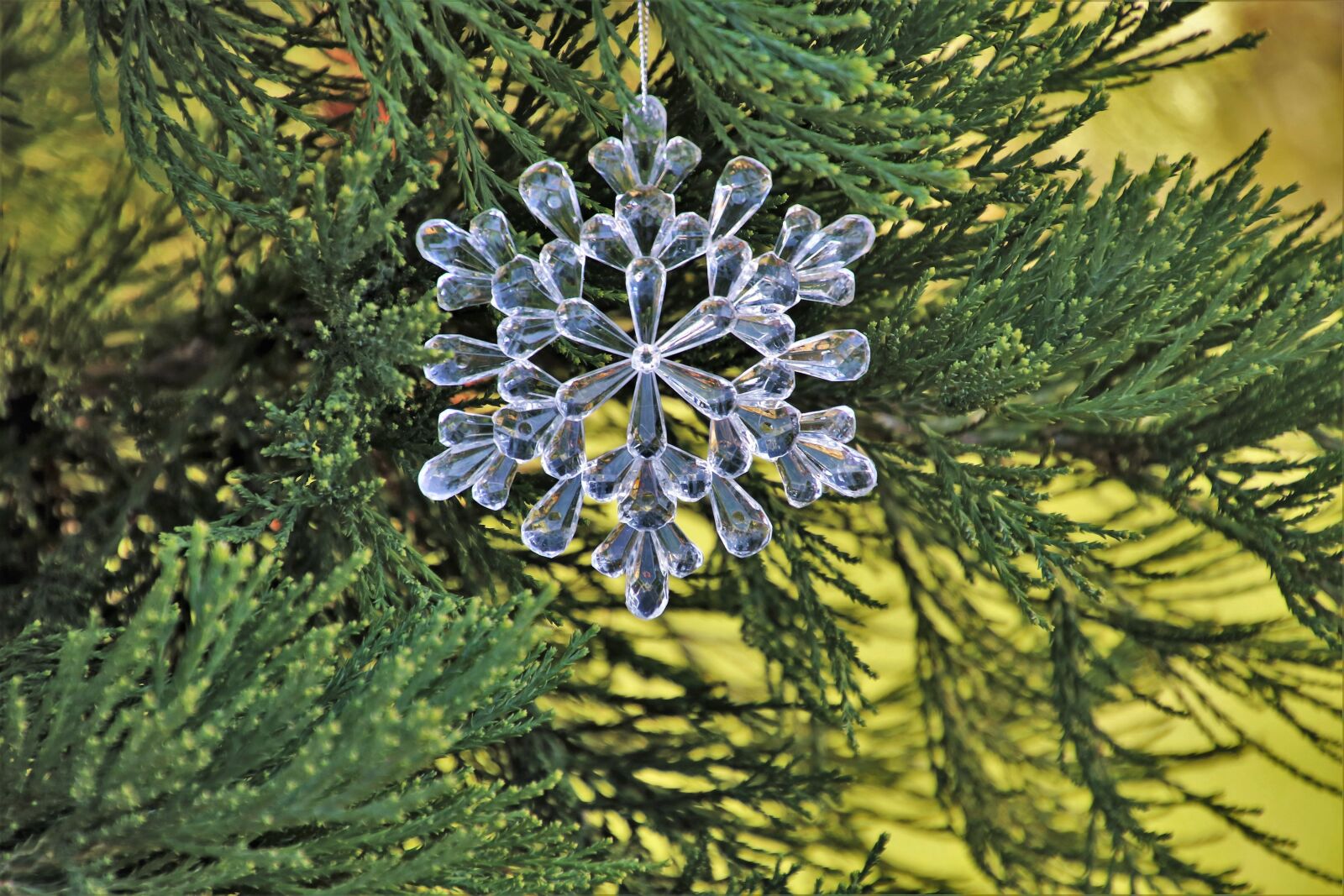 Canon EOS 80D sample photo. Asterisk, parish, christmas tree photography