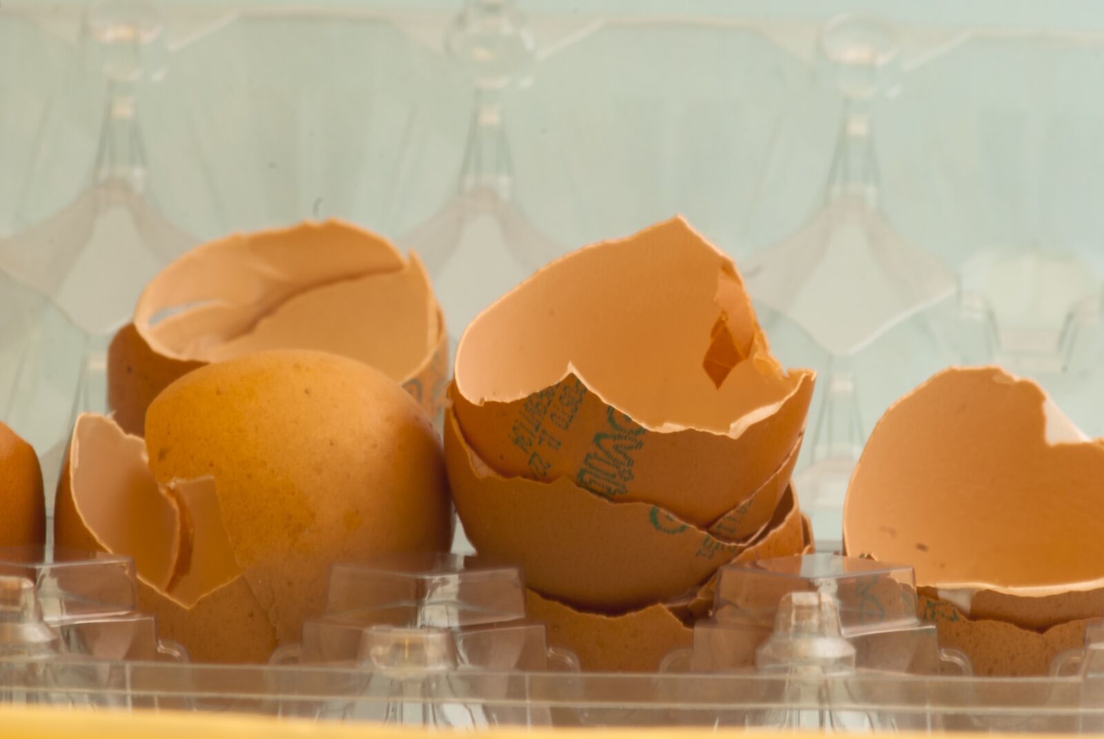 Nikon D80 sample photo. Egg, broken, kitchen photography