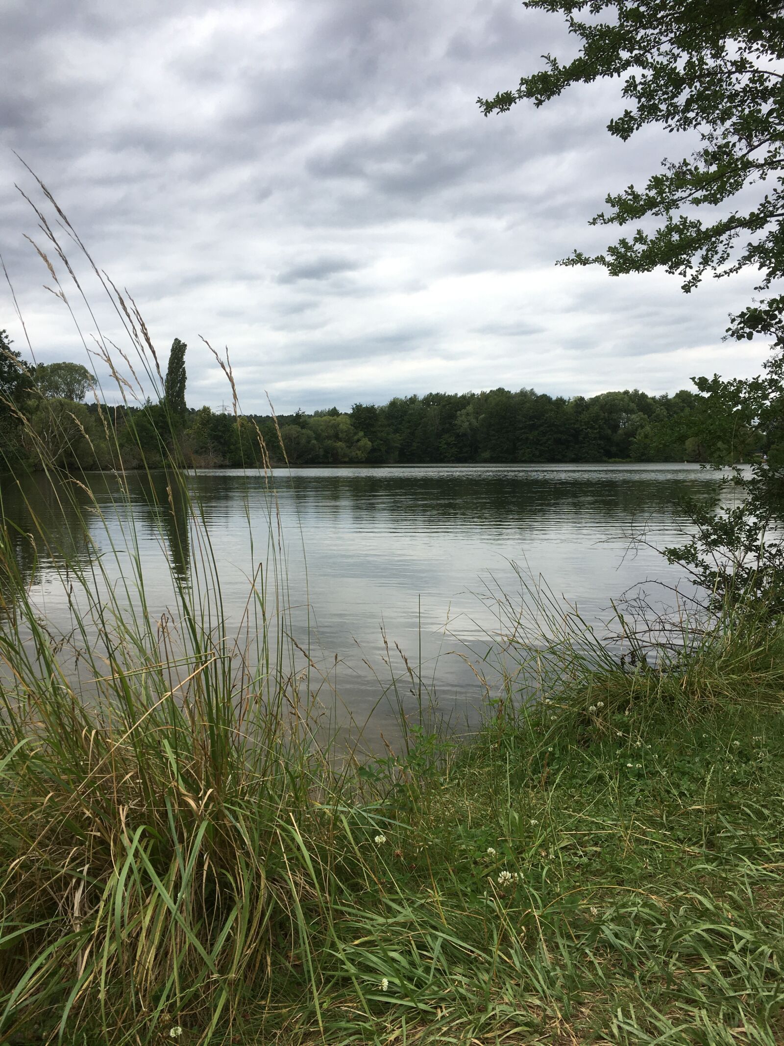 iPhone 6s back camera 4.15mm f/2.2 sample photo. Lake, water, nature photography