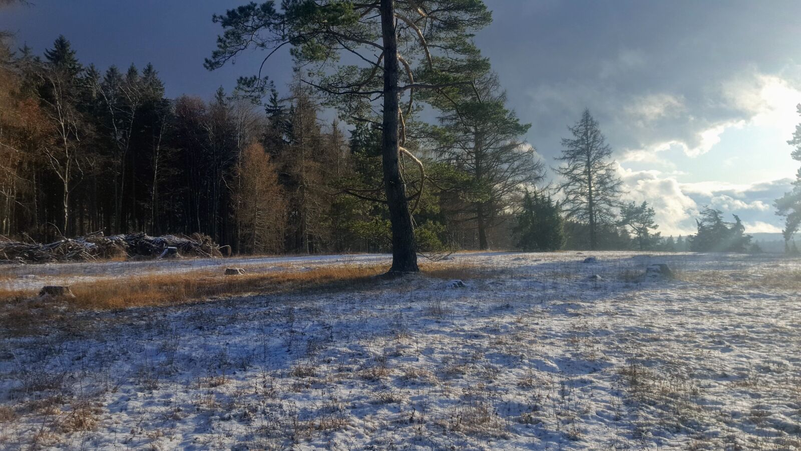 Samsung GALAXY S6 edge sample photo. Winter, landscape, snow photography