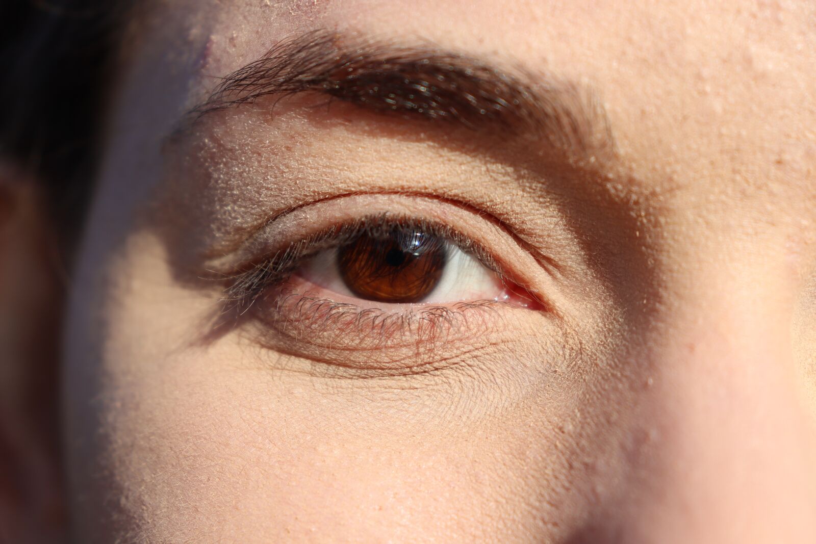 Canon EOS 250D (EOS Rebel SL3 / EOS Kiss X10 / EOS 200D II) sample photo. Eye, brown eye, beauty photography