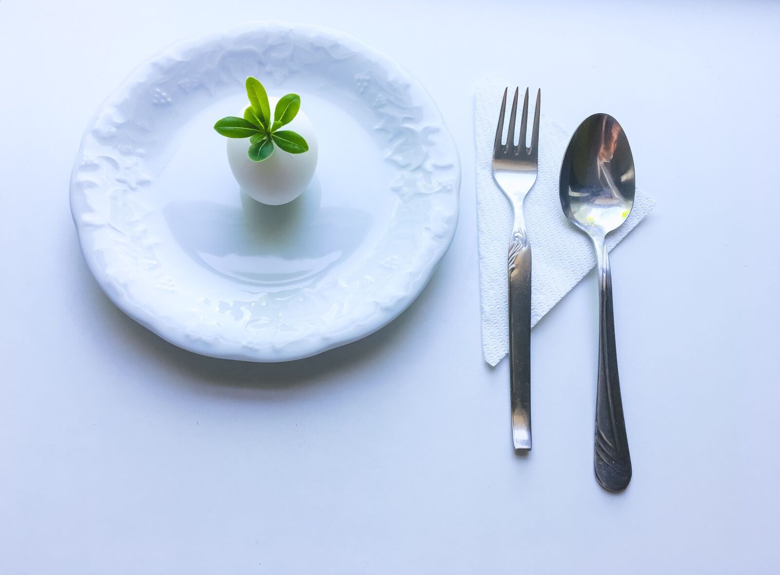 Apple iPhone 6s sample photo. Minimalism, diet, egg photography